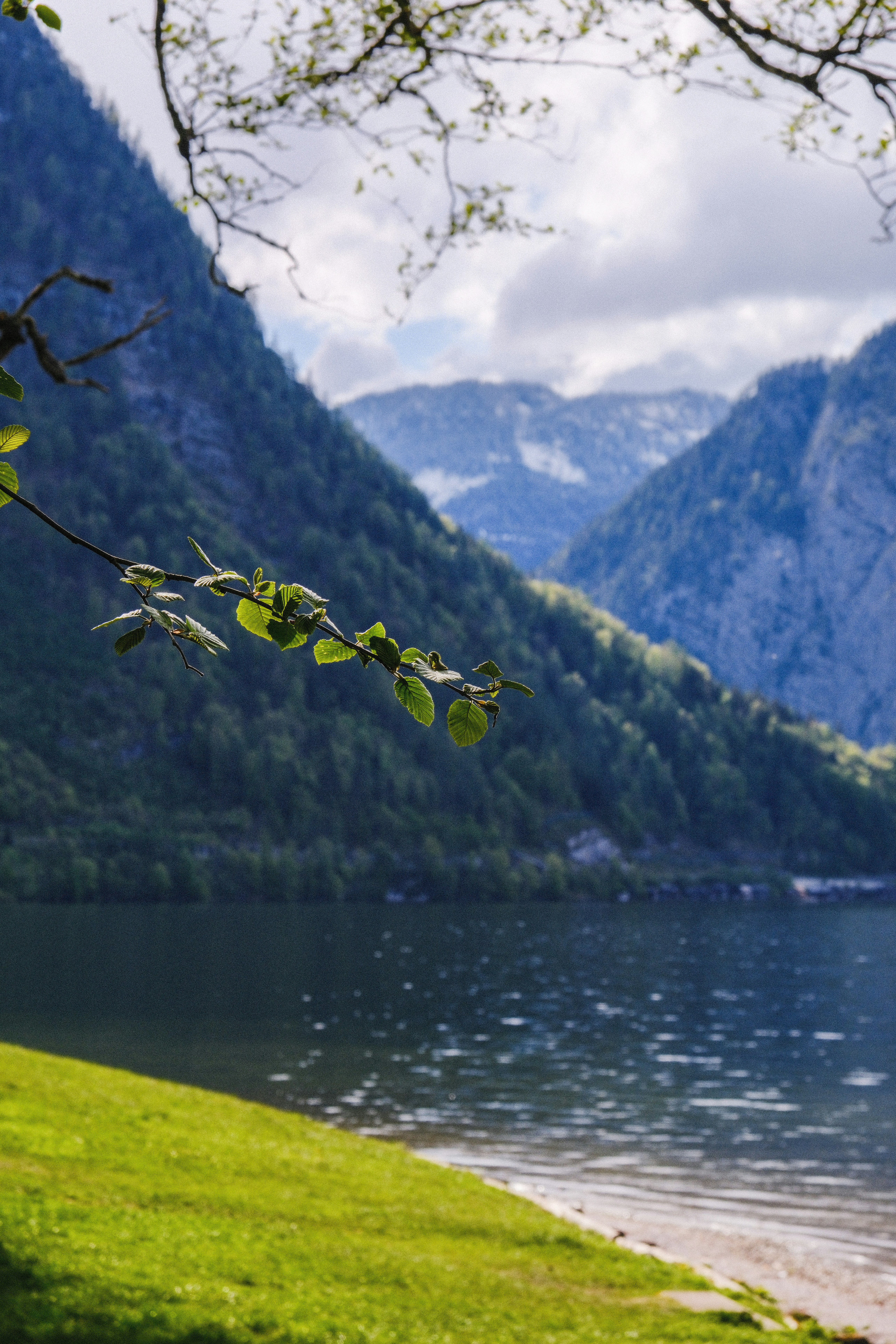 Photo by alexispresa