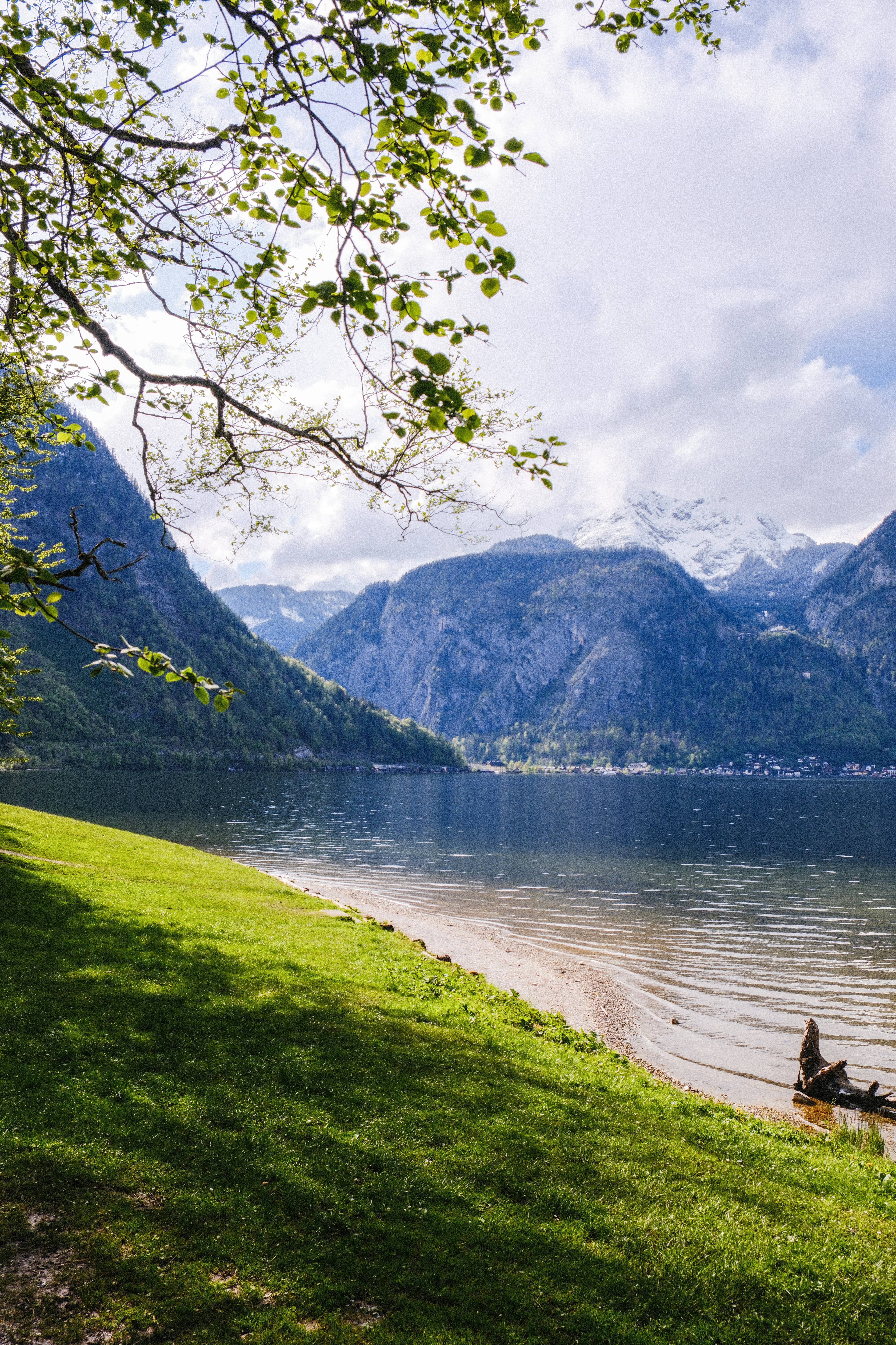 Photo by alexispresa