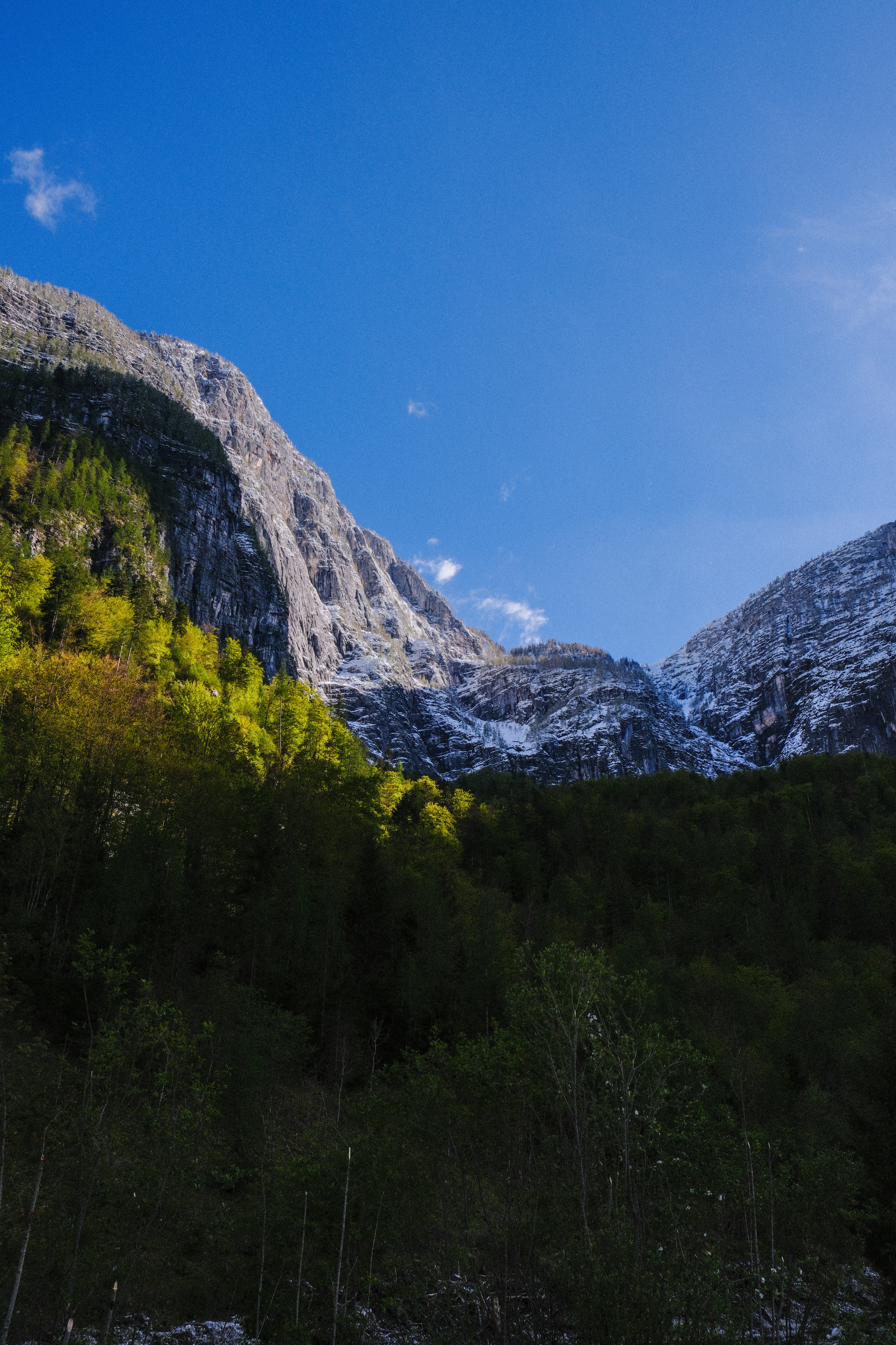 Photo by alexispresa