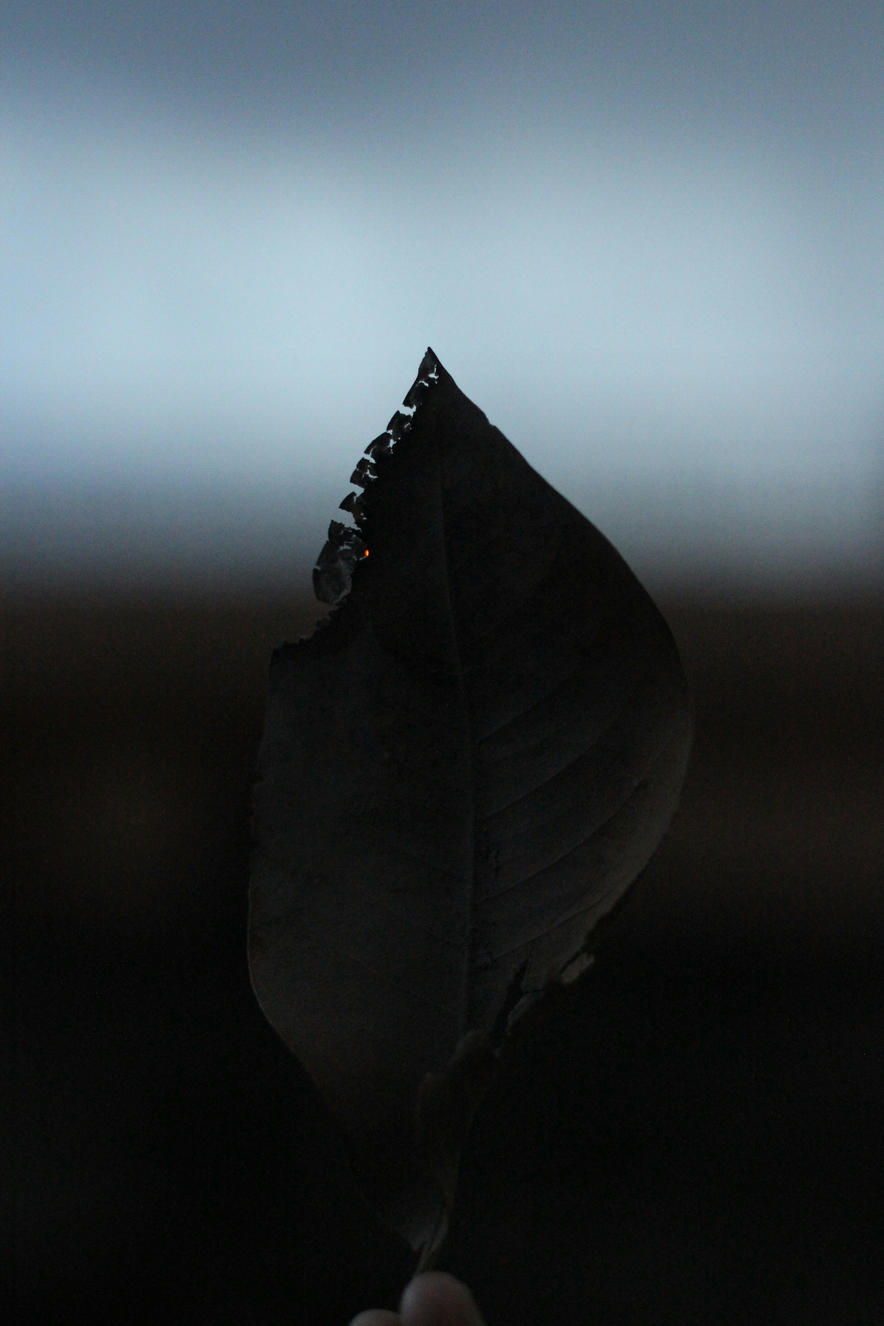 Photo by perception_o_graphy