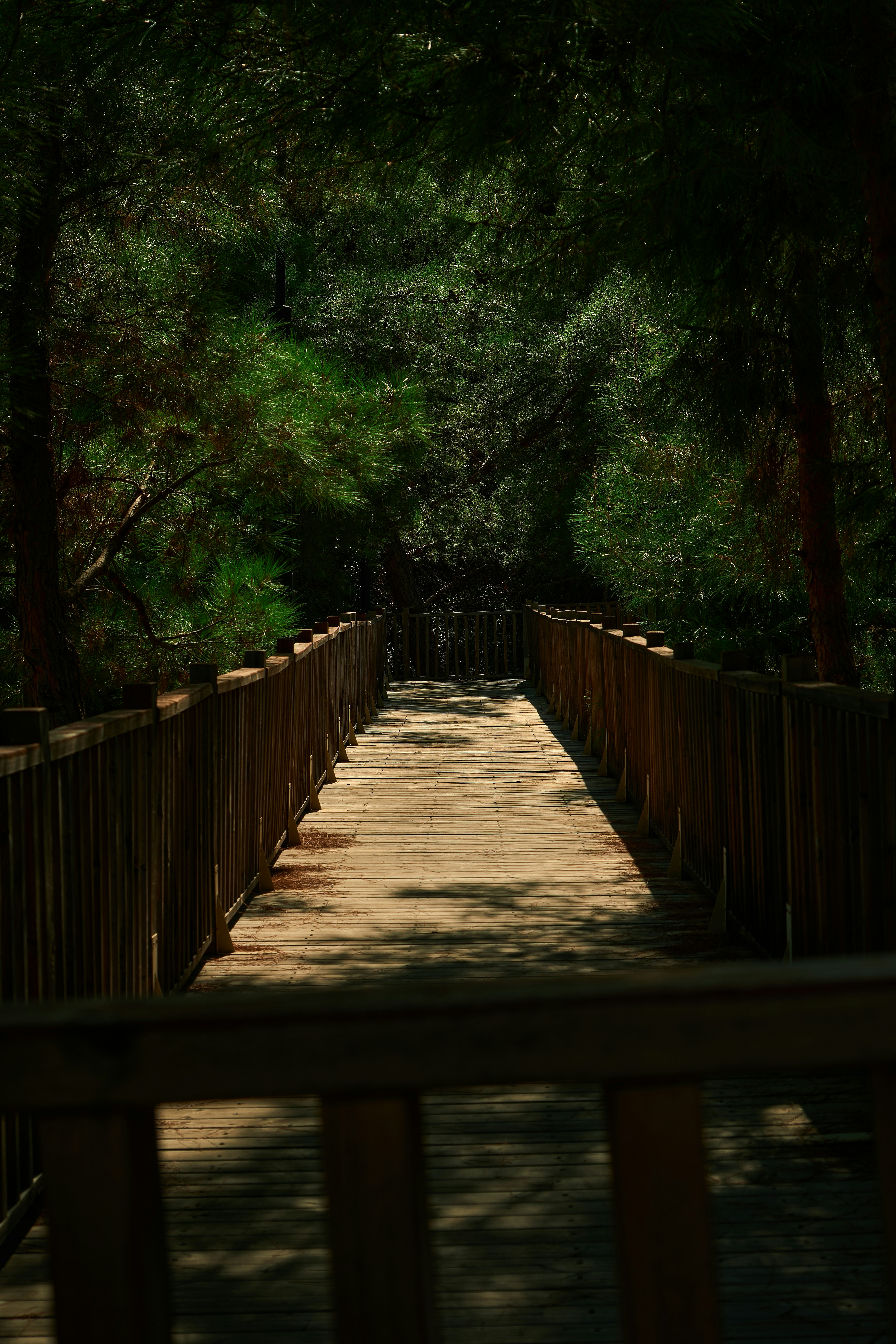 Photo by snapsbymiel