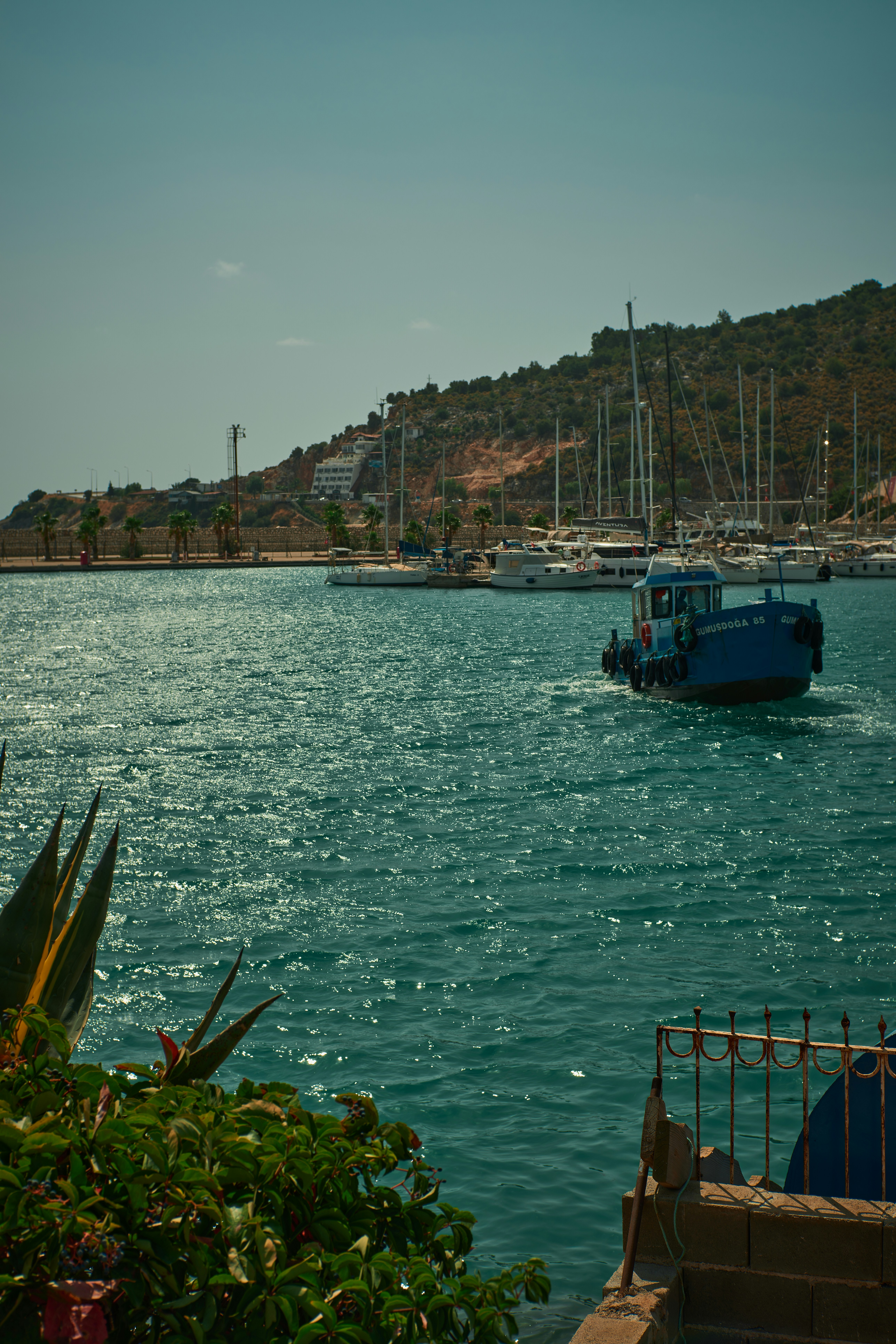 Photo by snapsbymiel