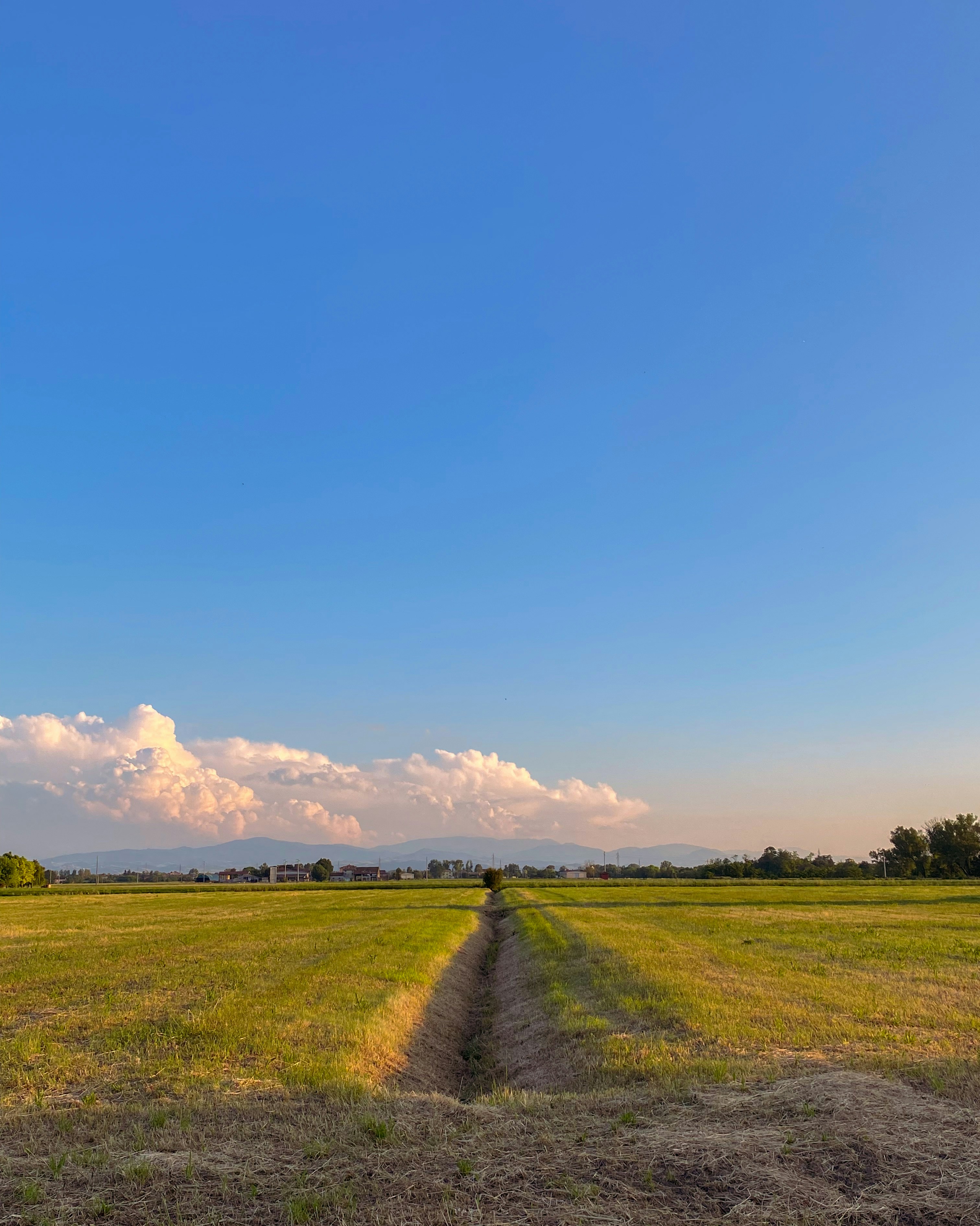 Photo by hardialsingh