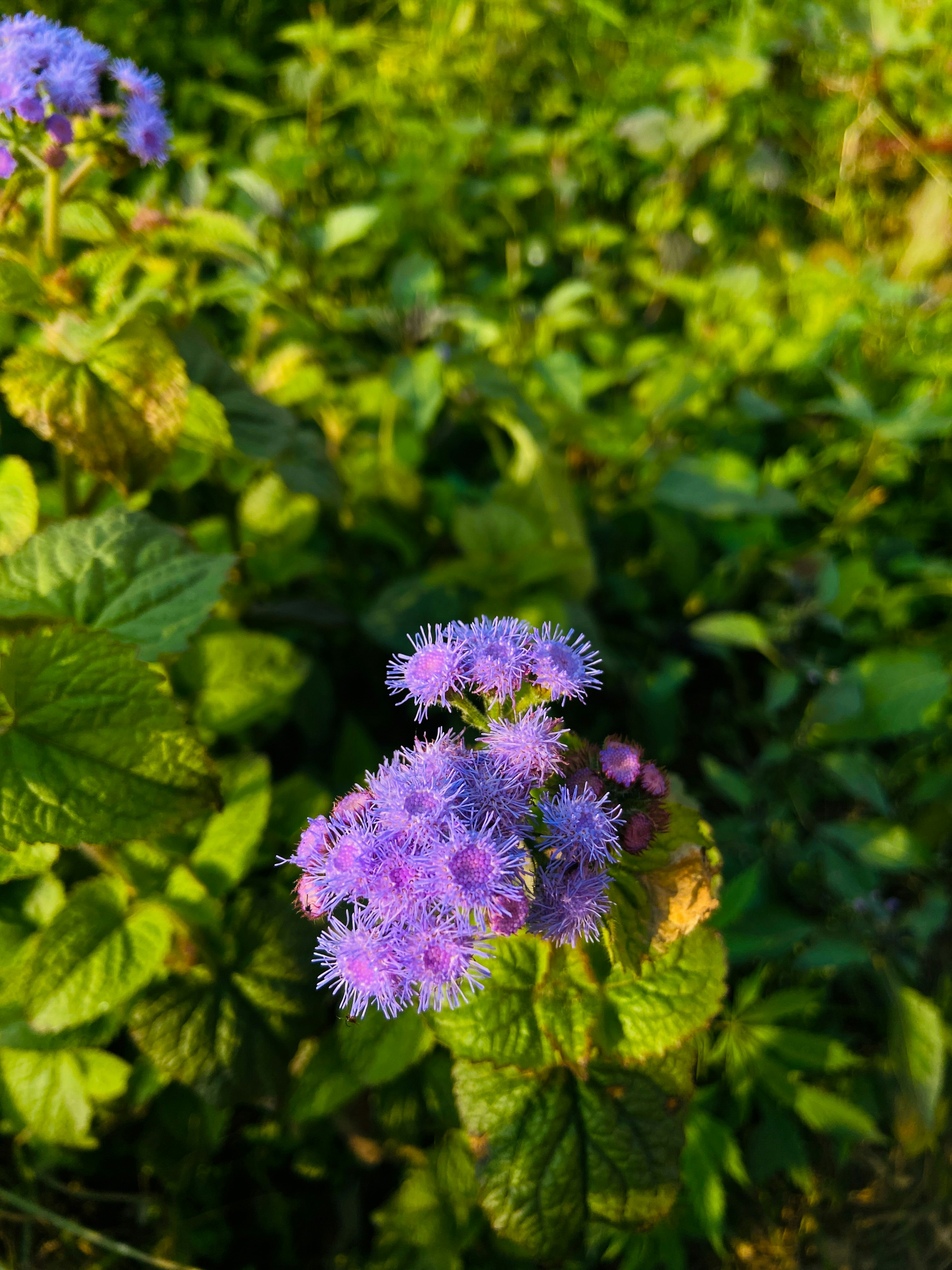 Photo by ghibliglimmers