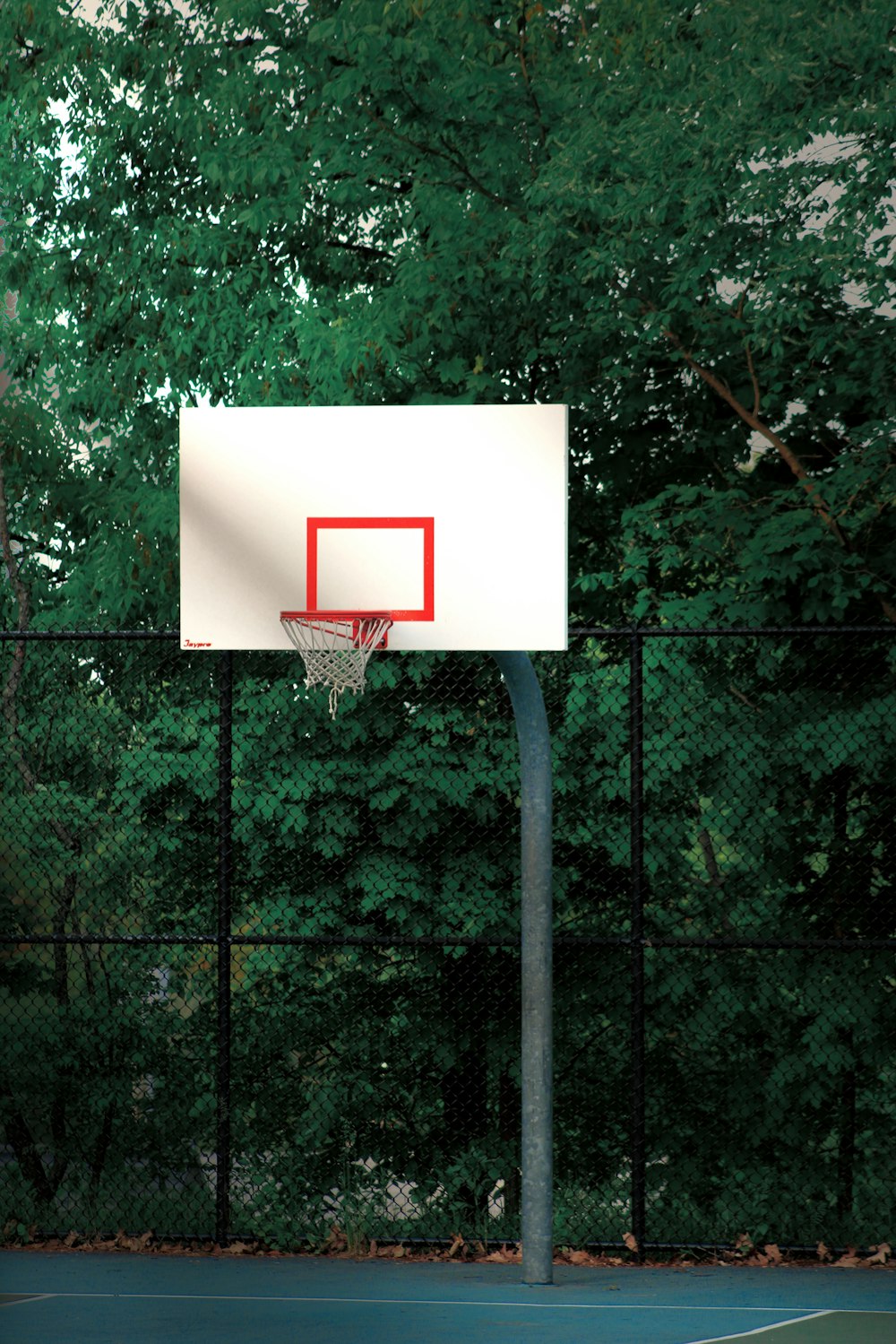 Ball going through the hoop