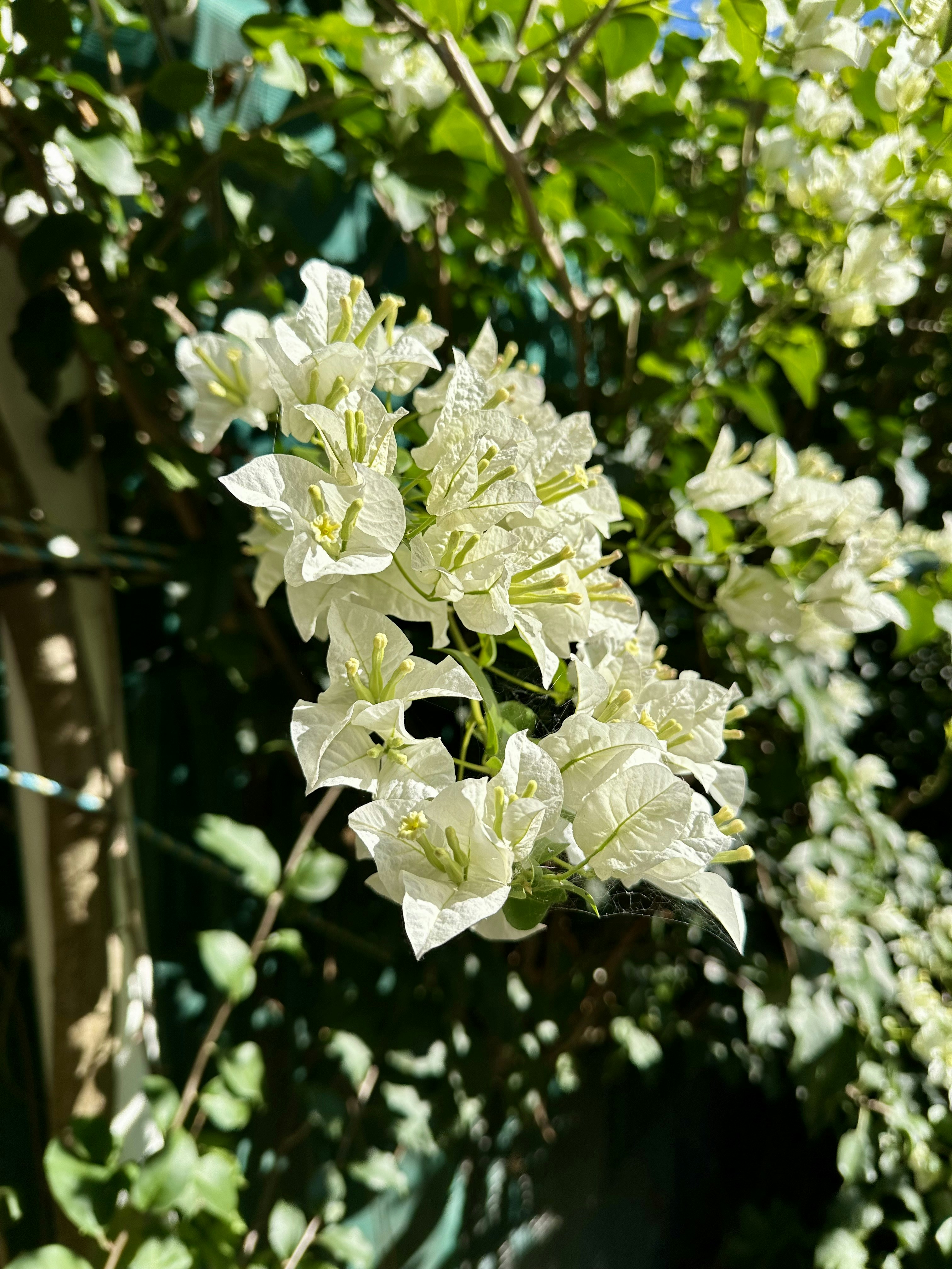 Photo by gabrielvanduinen