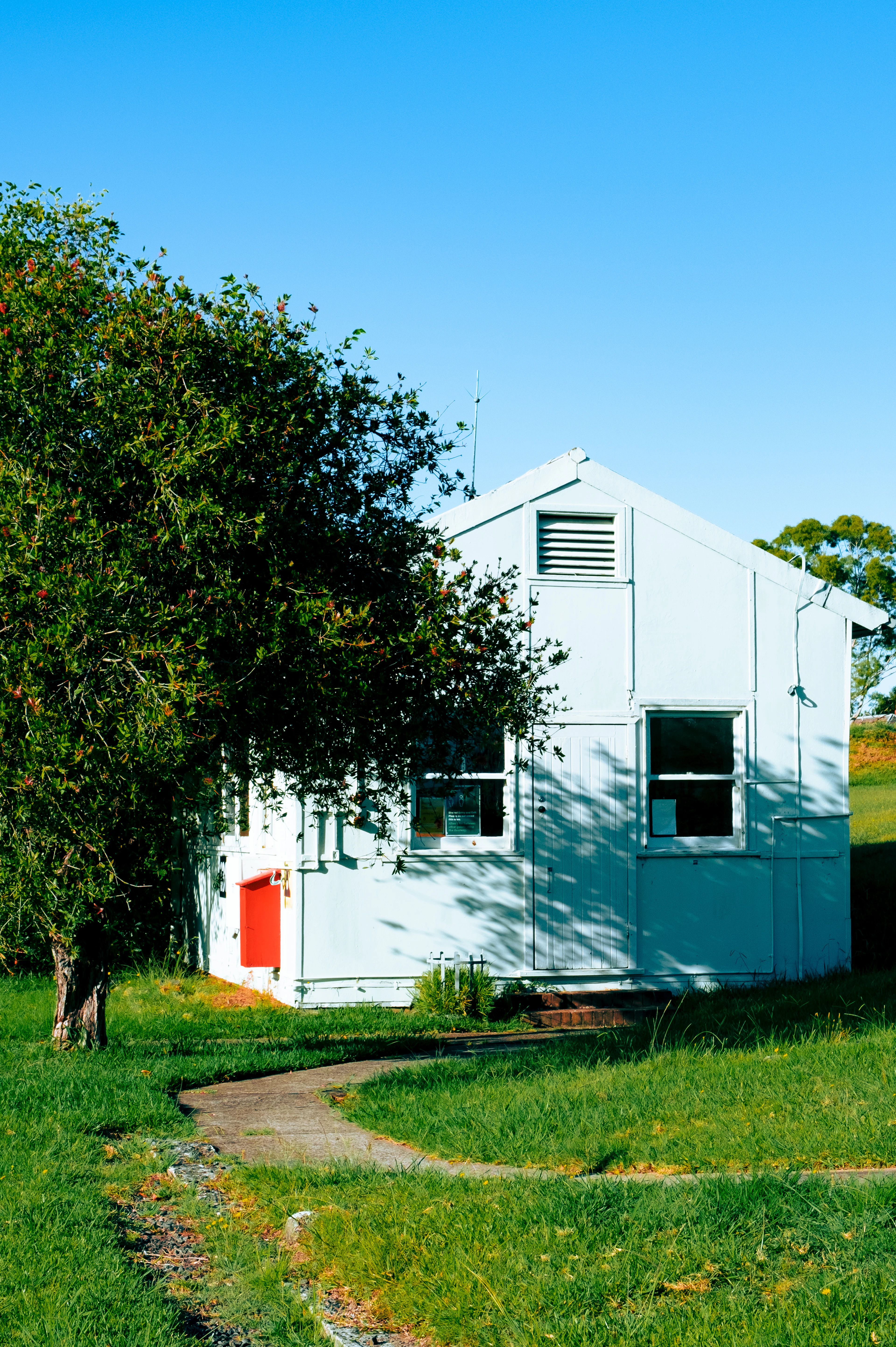 Small pale blue house with a red door beside a leafy tree