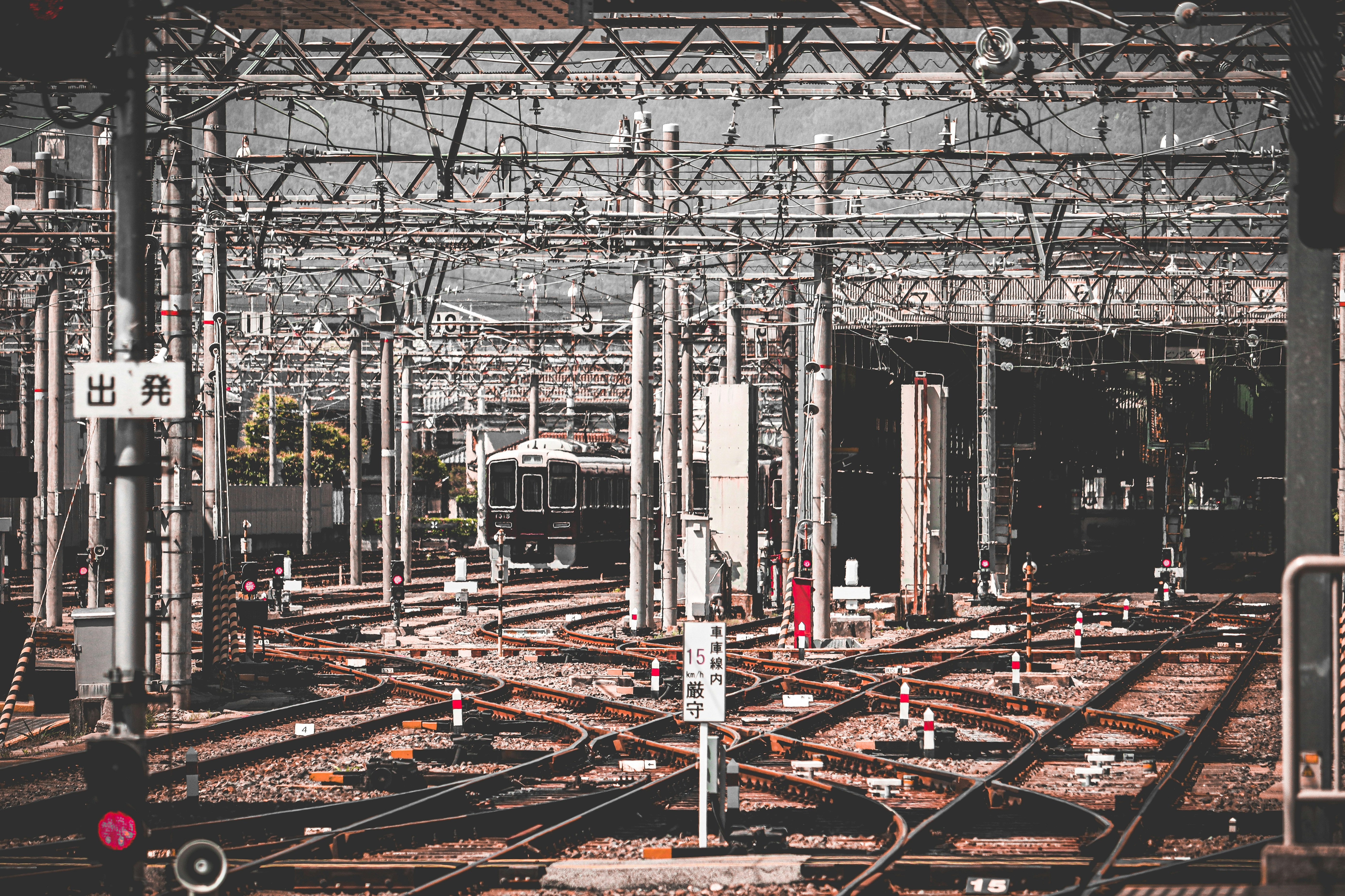 Photo by naturalphotos08