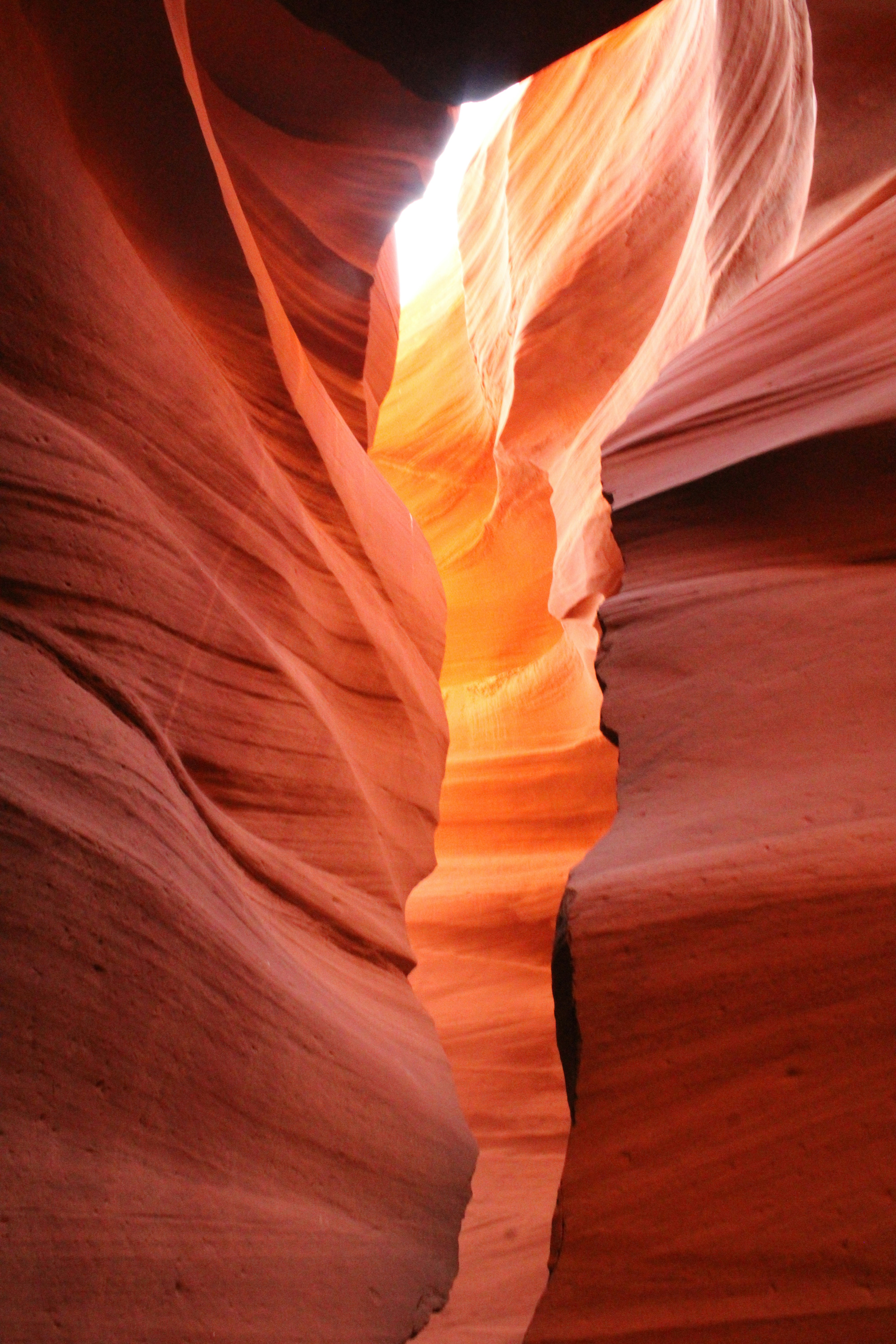 Photo by rakshith_acharya