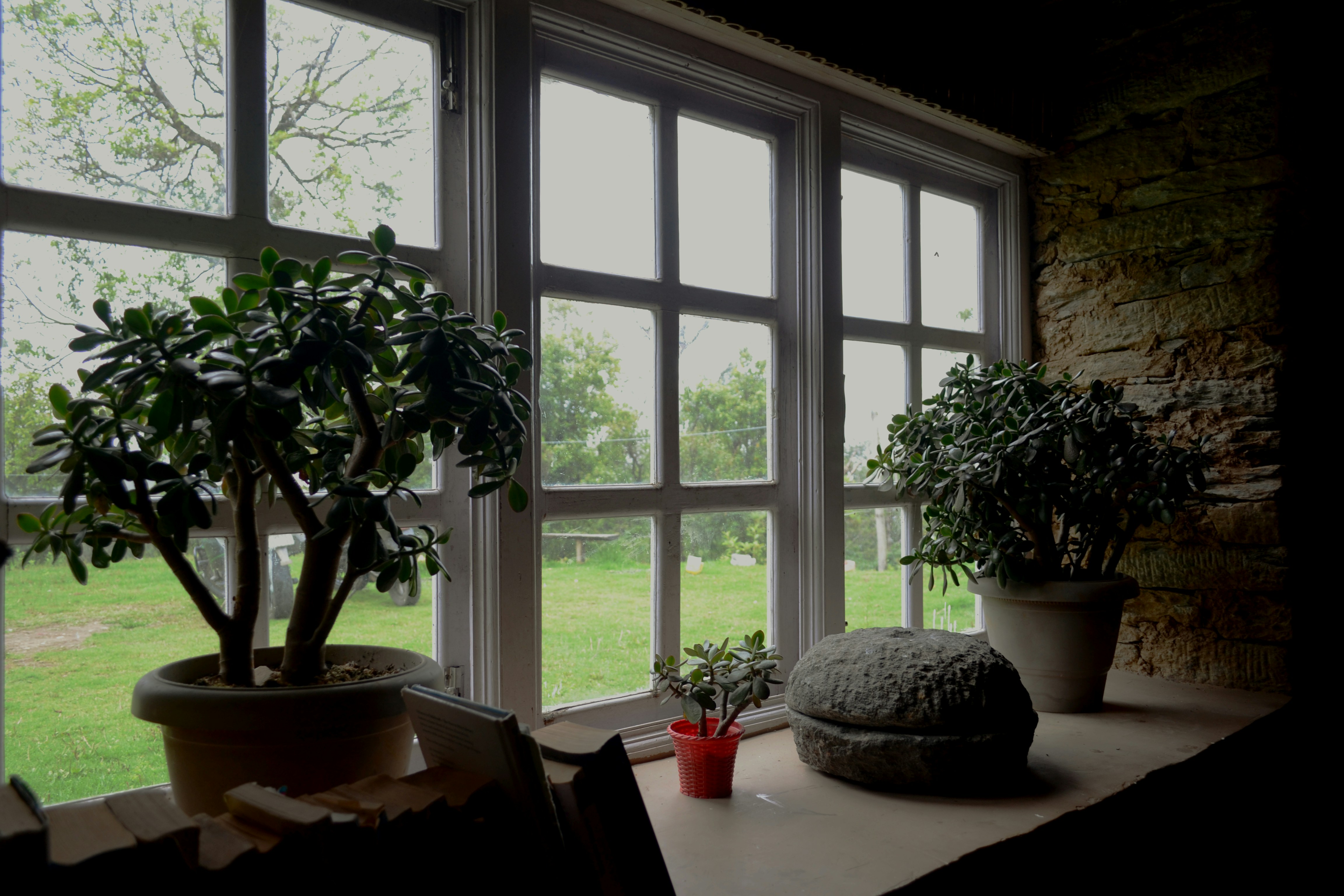 woman wearing yellow long-sleeved dress under white clouds and blue sky during daytime