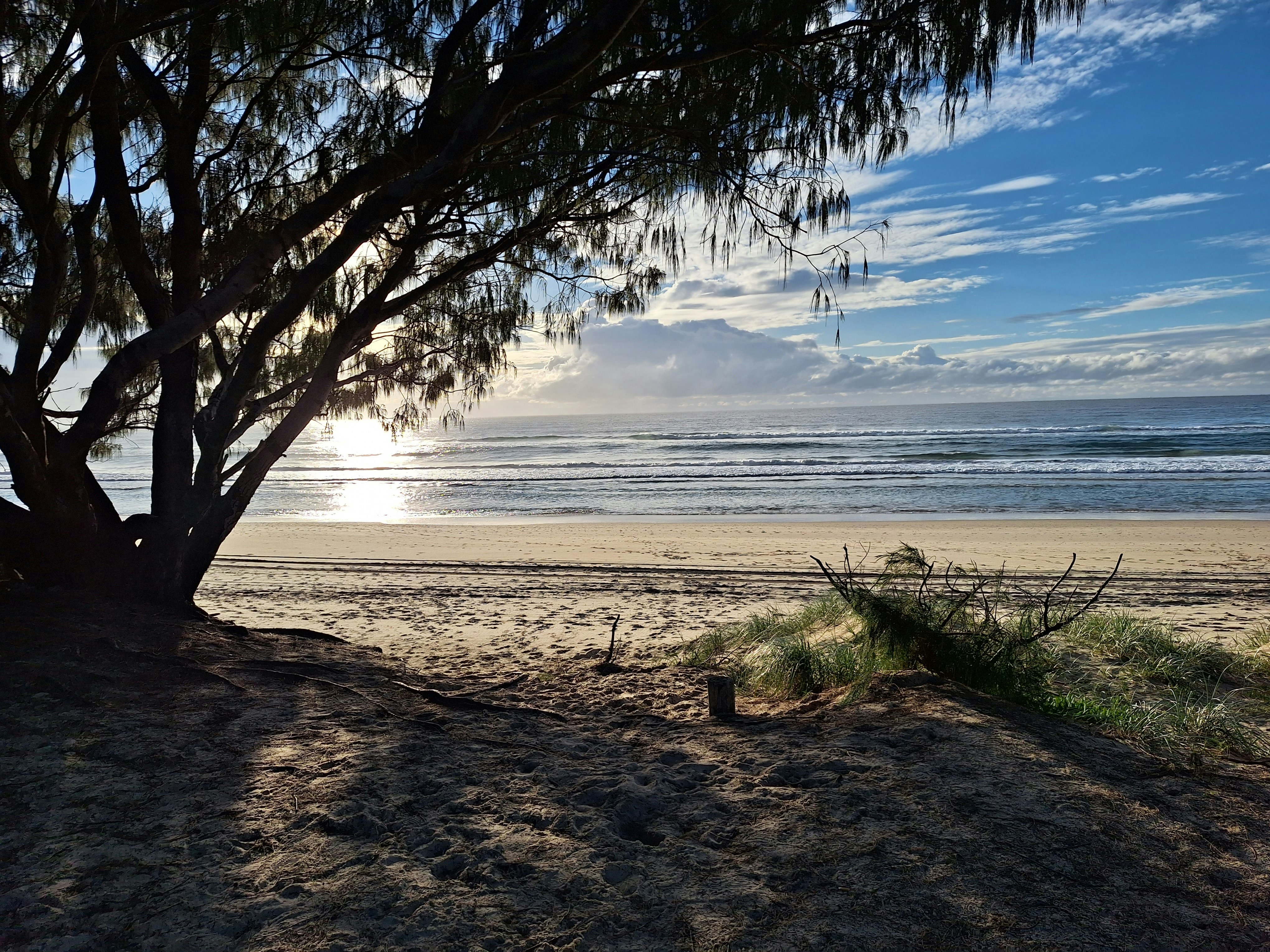 Photo by craigmanners_com