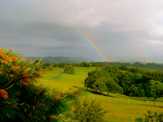 a rainbow in the sky over a lush green field