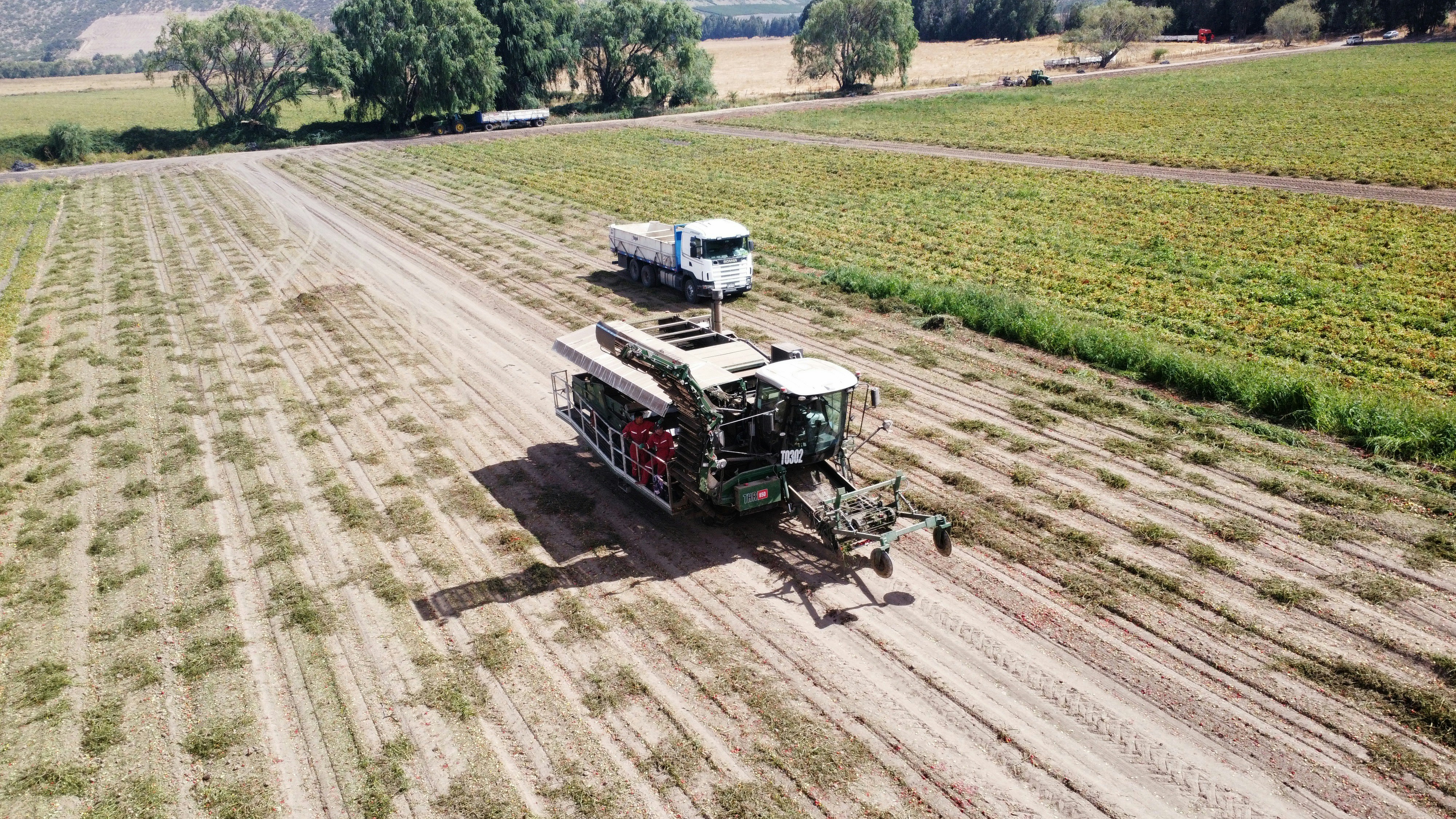 a couple of trucks driving down a dirt road