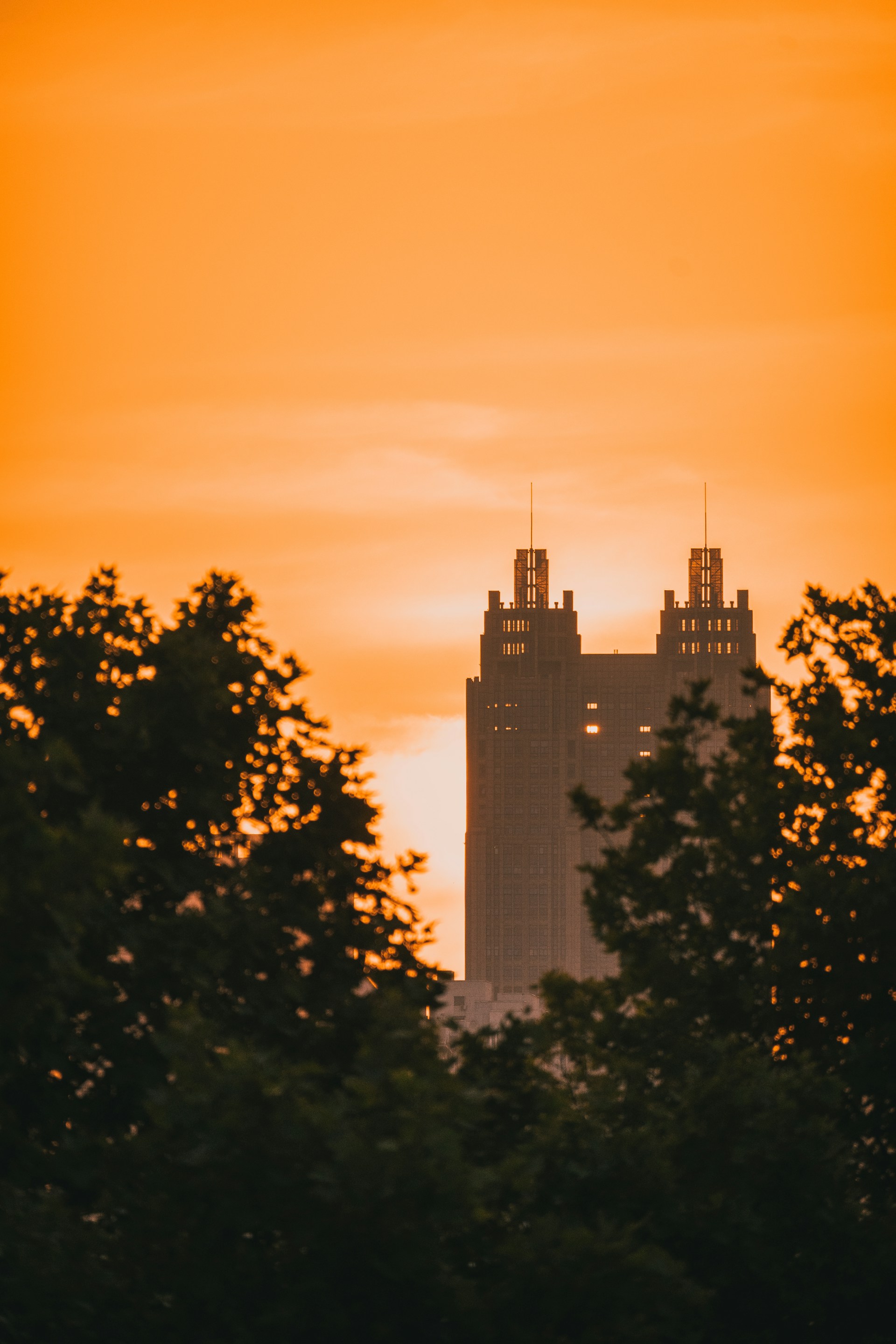 a very tall building with a lot of trees in front of it