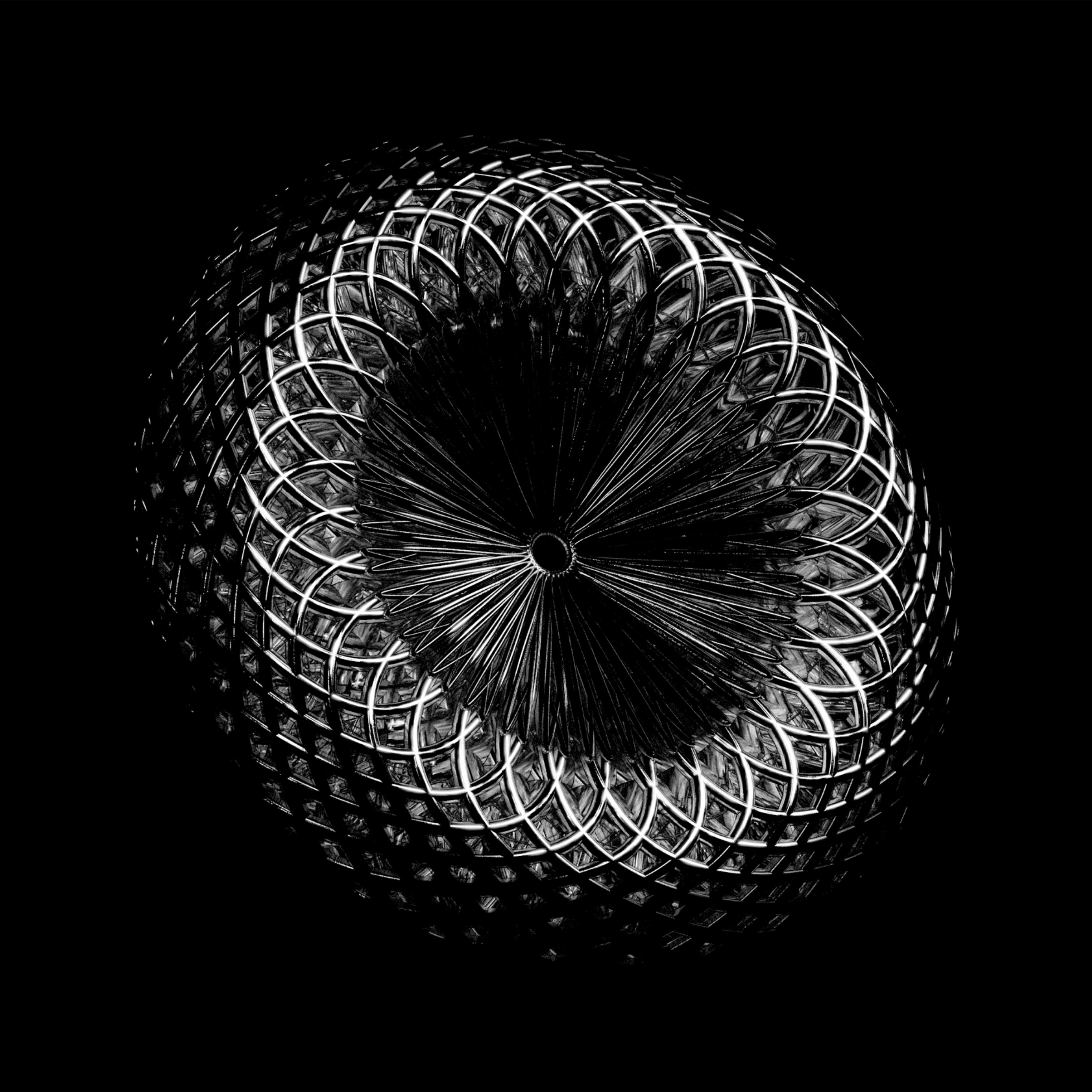 Photo by msohebzaidi