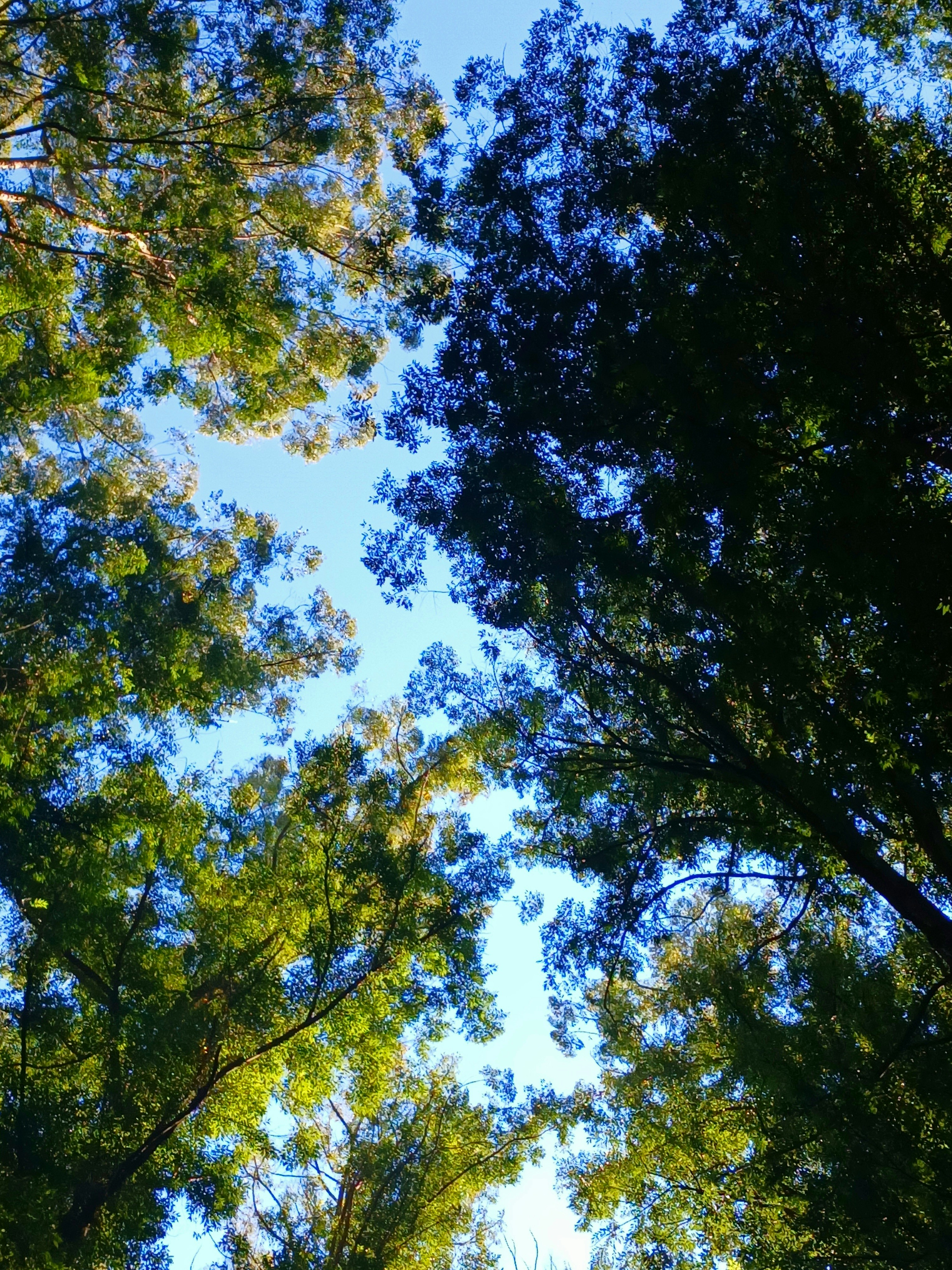 Photo by lyssa_elliott