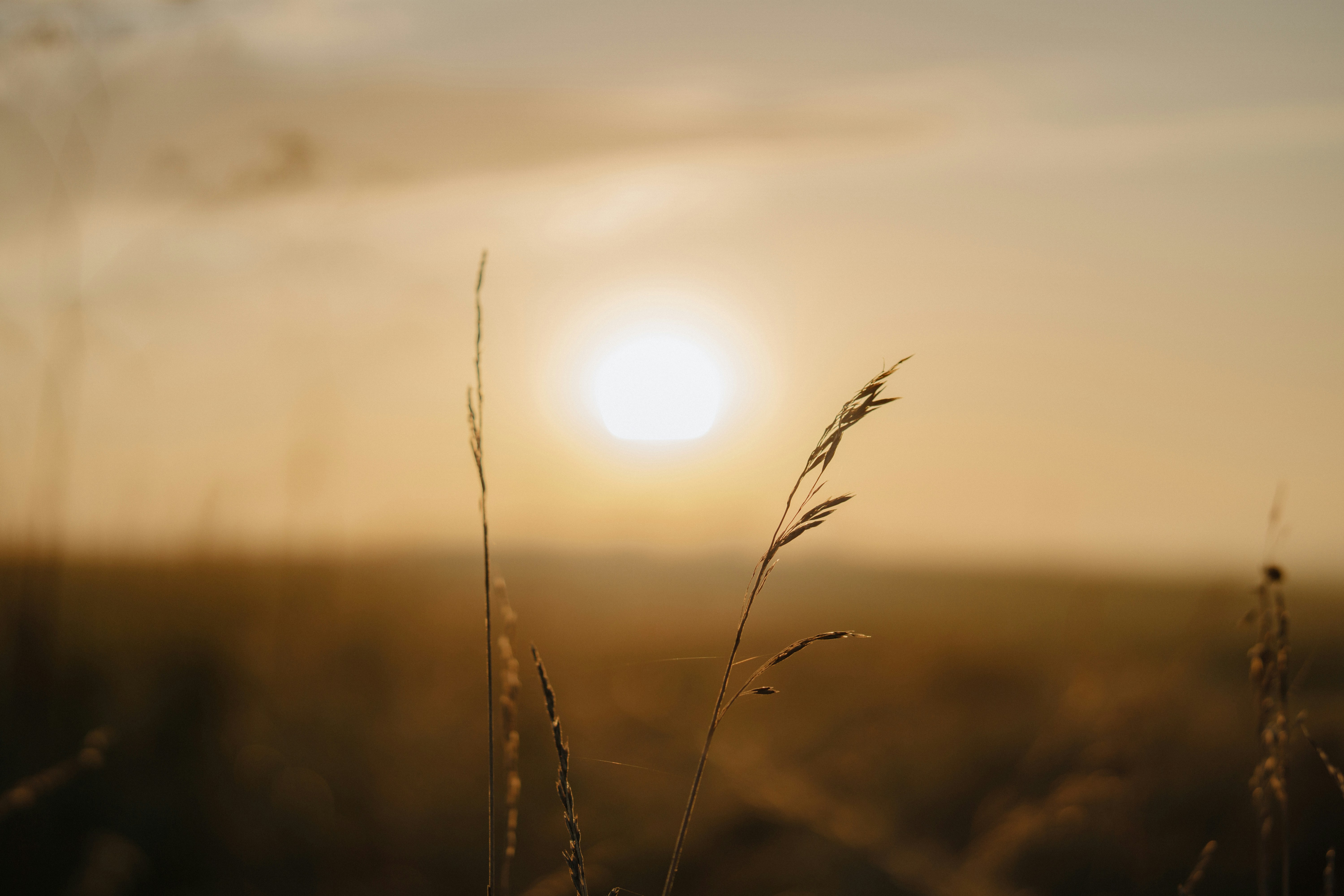 Photo by bangscreative