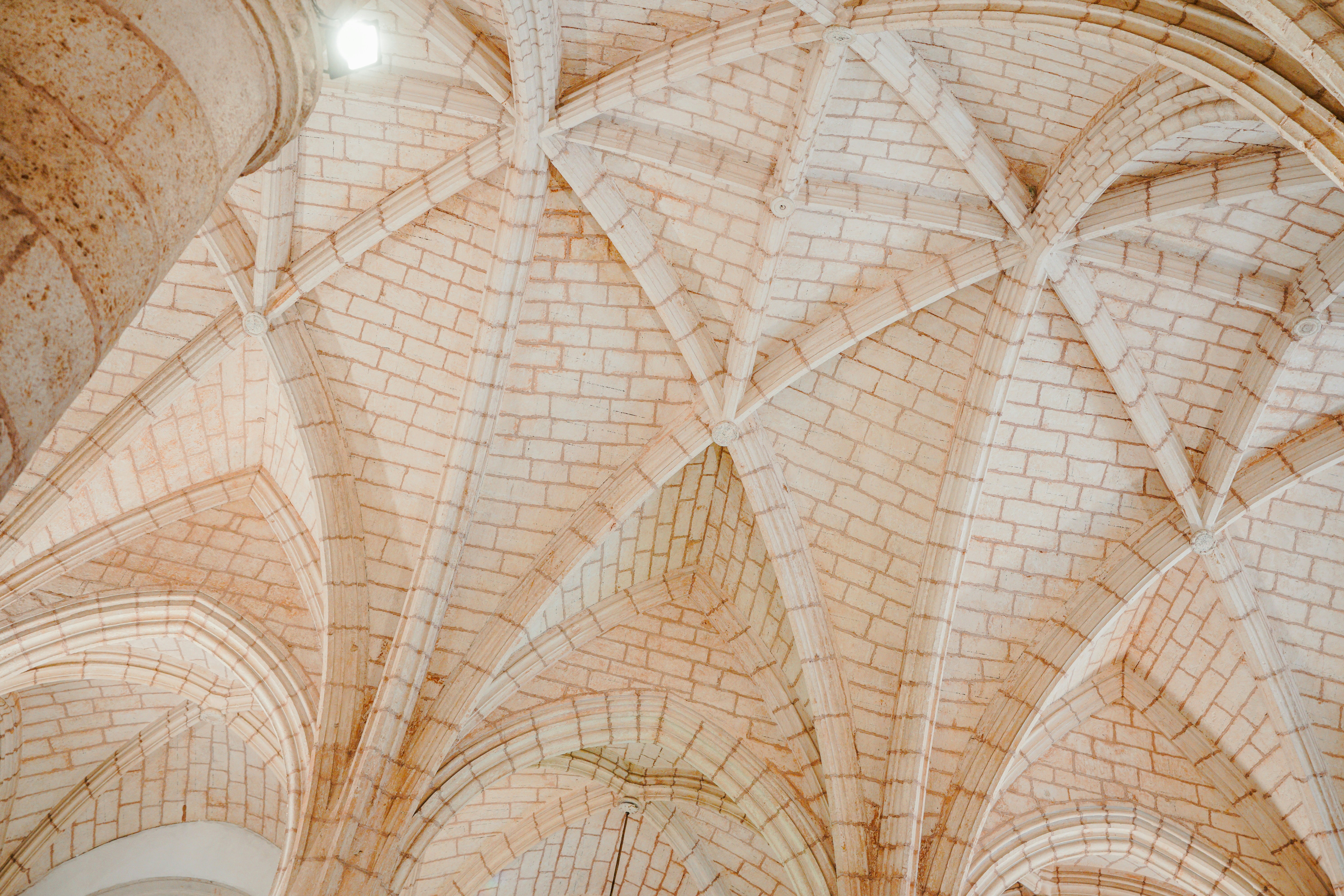 Photo by aldwardcv31