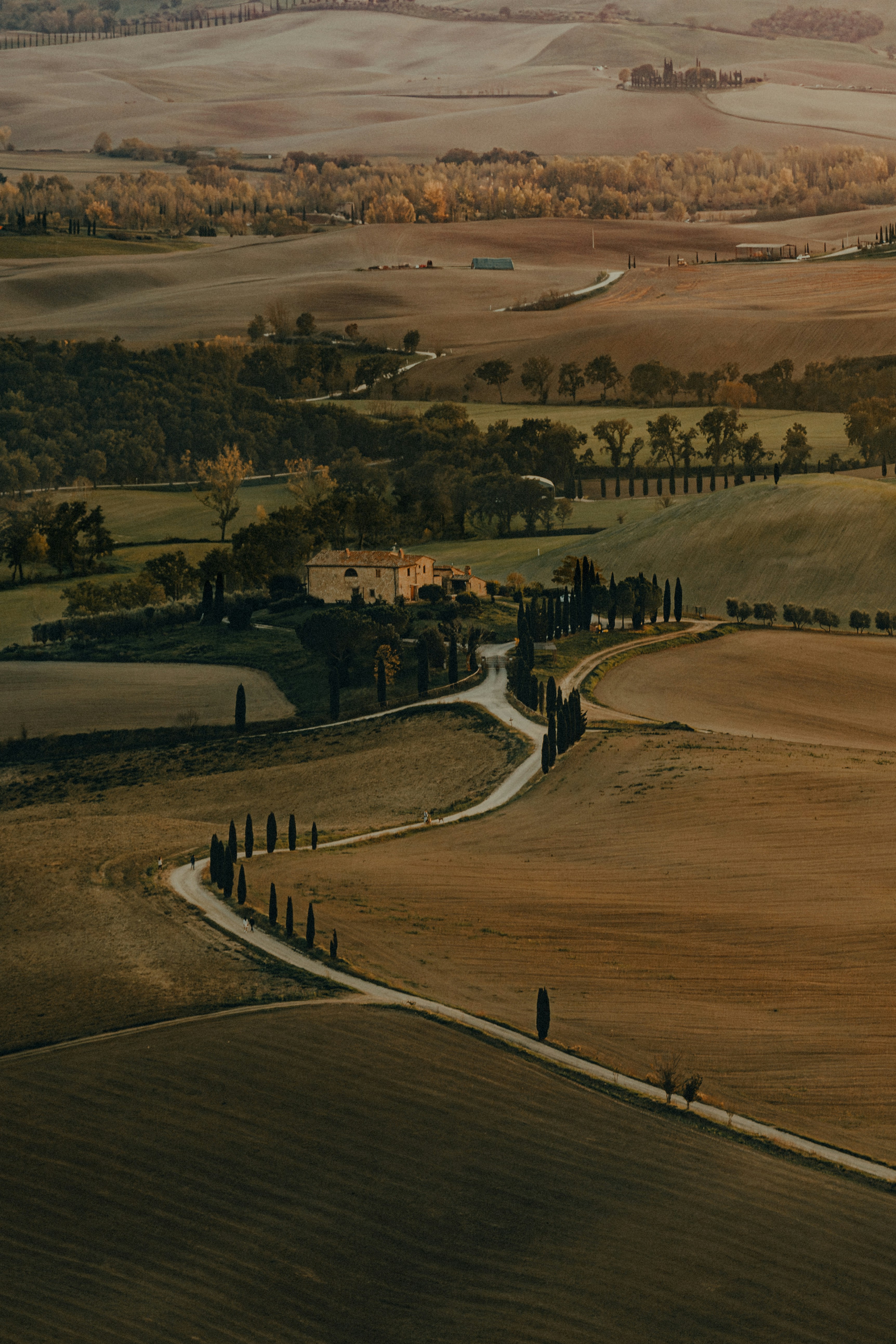 Photo by sirsimo
