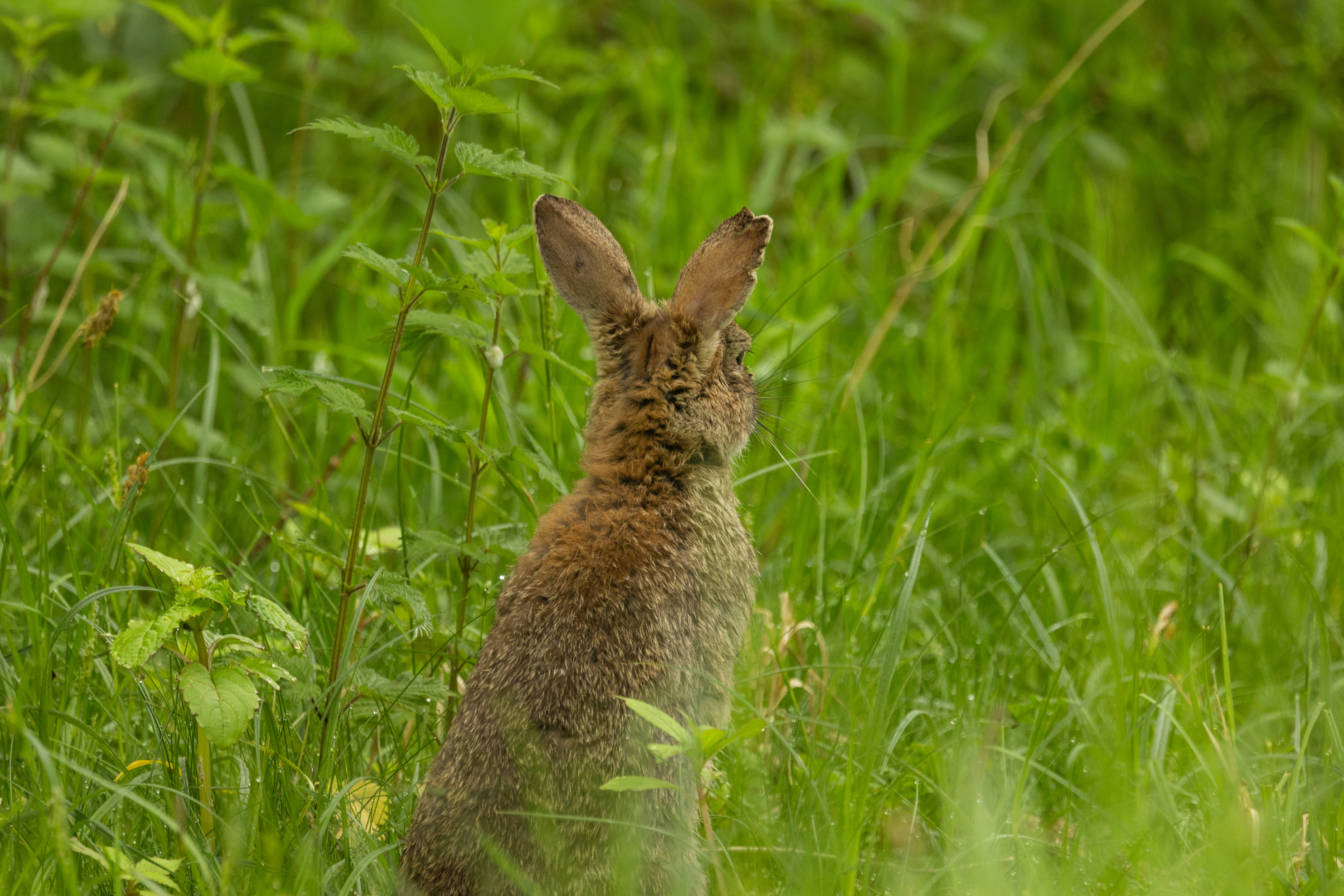 Photo by heather_wilde