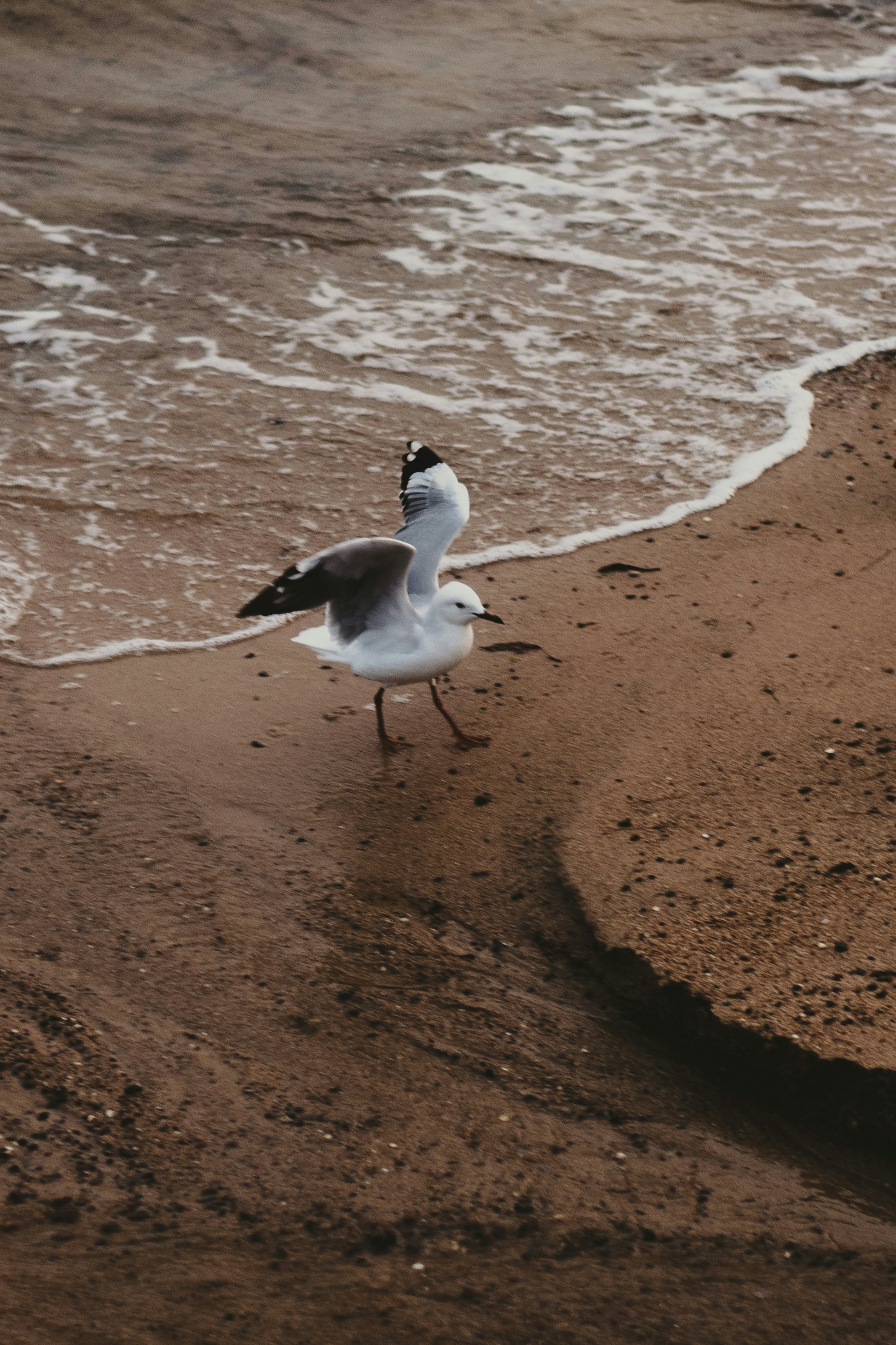 Photo by gabriellefaithhenderson