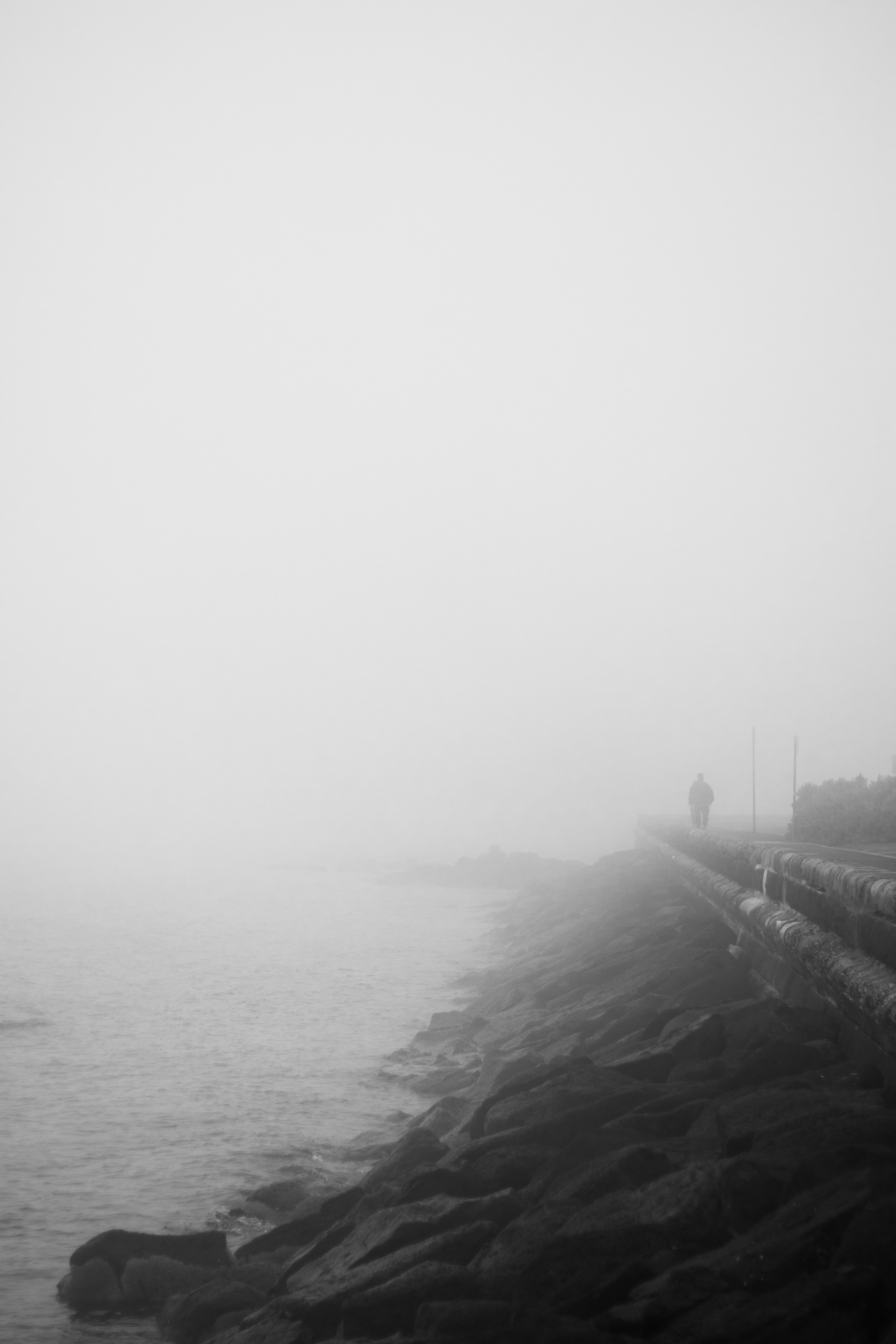 una persona in piedi su una spiaggia nebbiosa vicino all'oceano