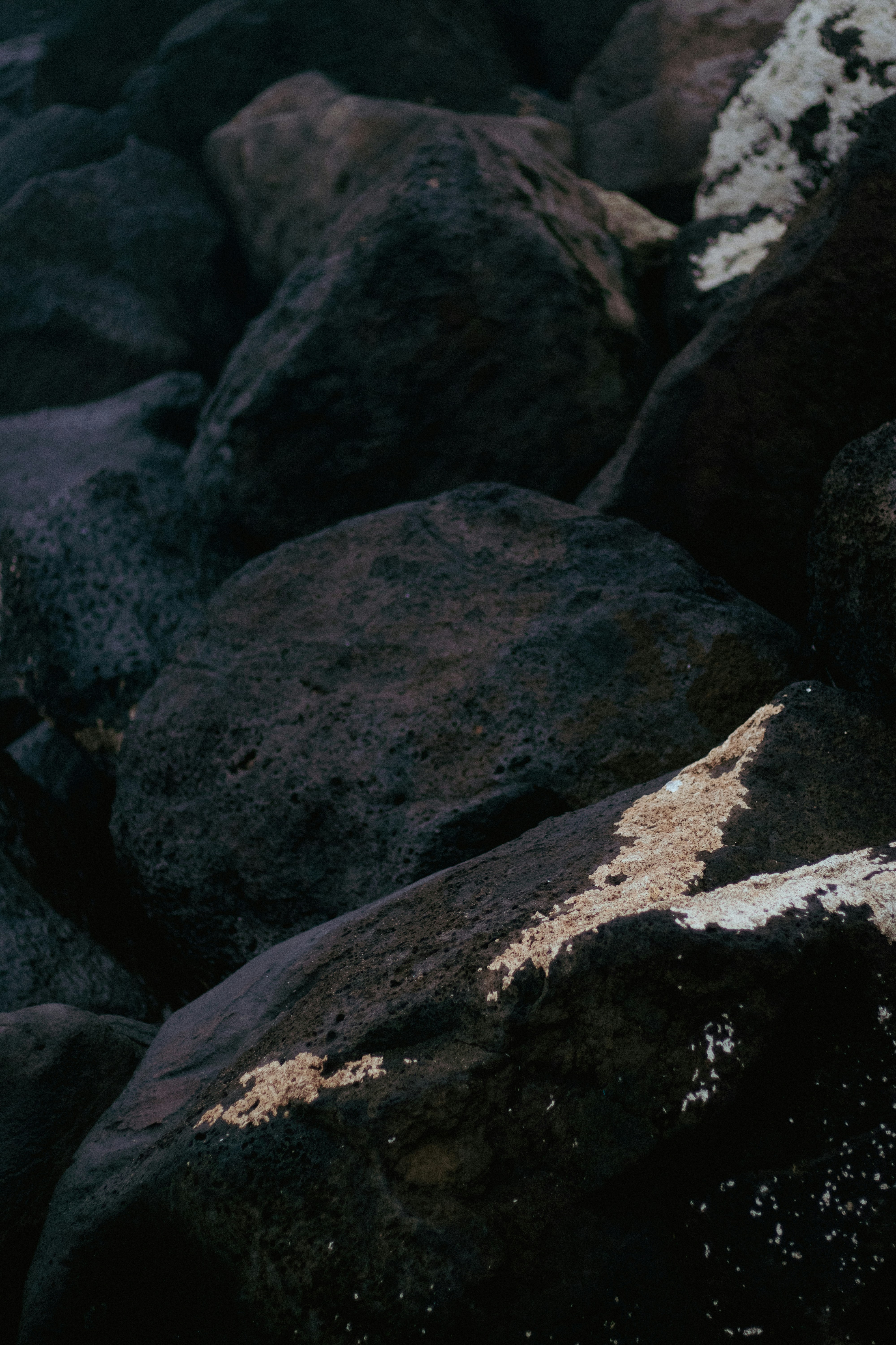 Photo by gabriellefaithhenderson