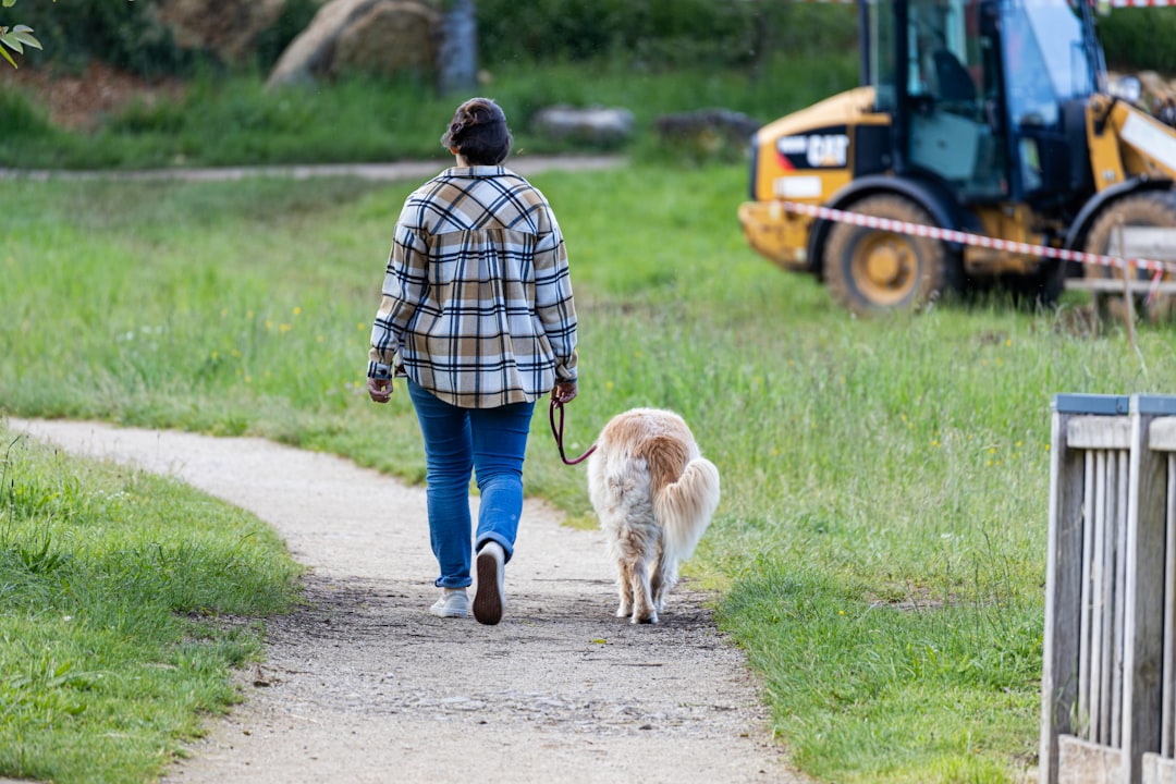 早朝の涼しい時間帯に愛犬と散歩する飼い主