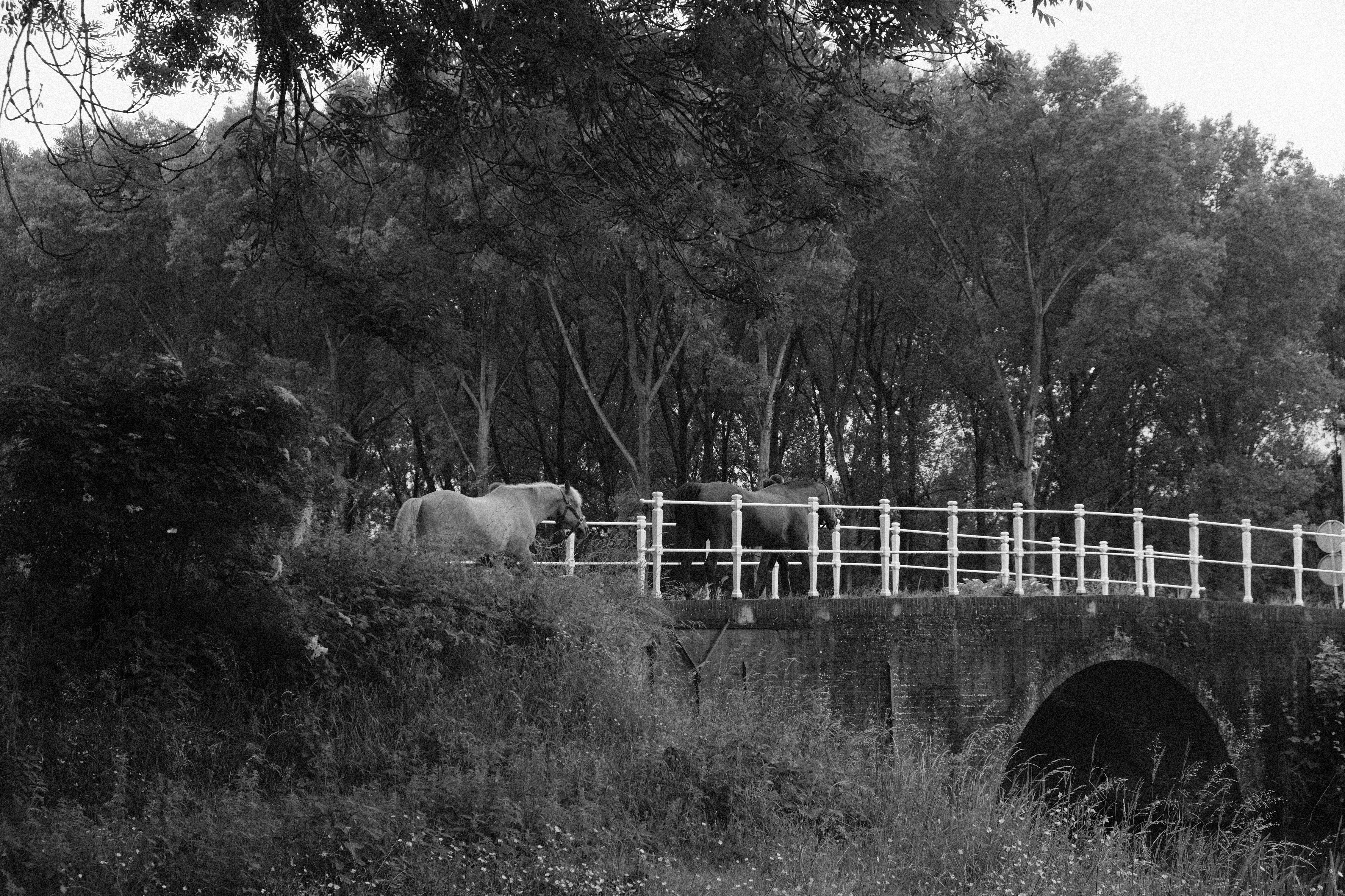 Photo by kyantijhuis