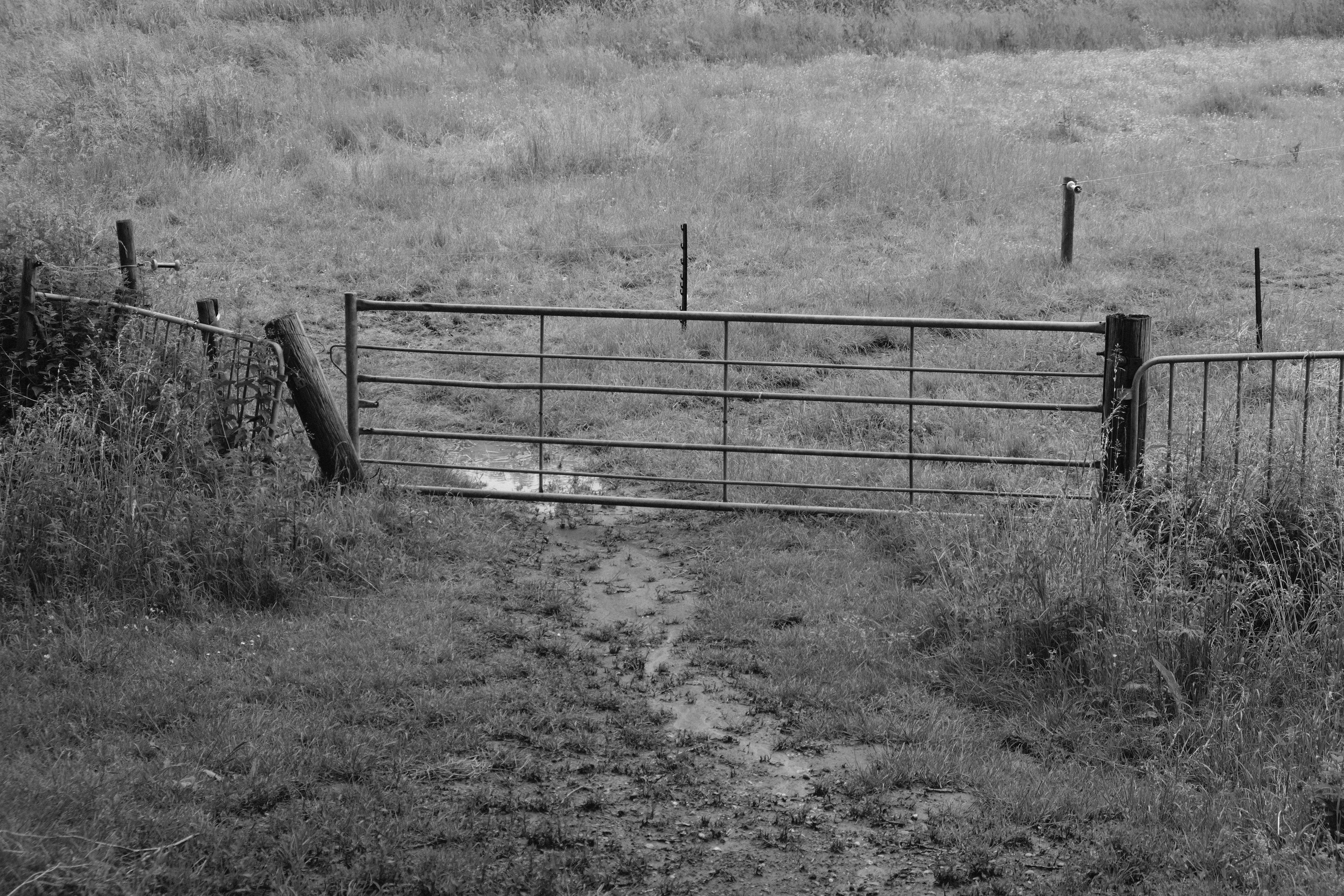 Photo by kyantijhuis