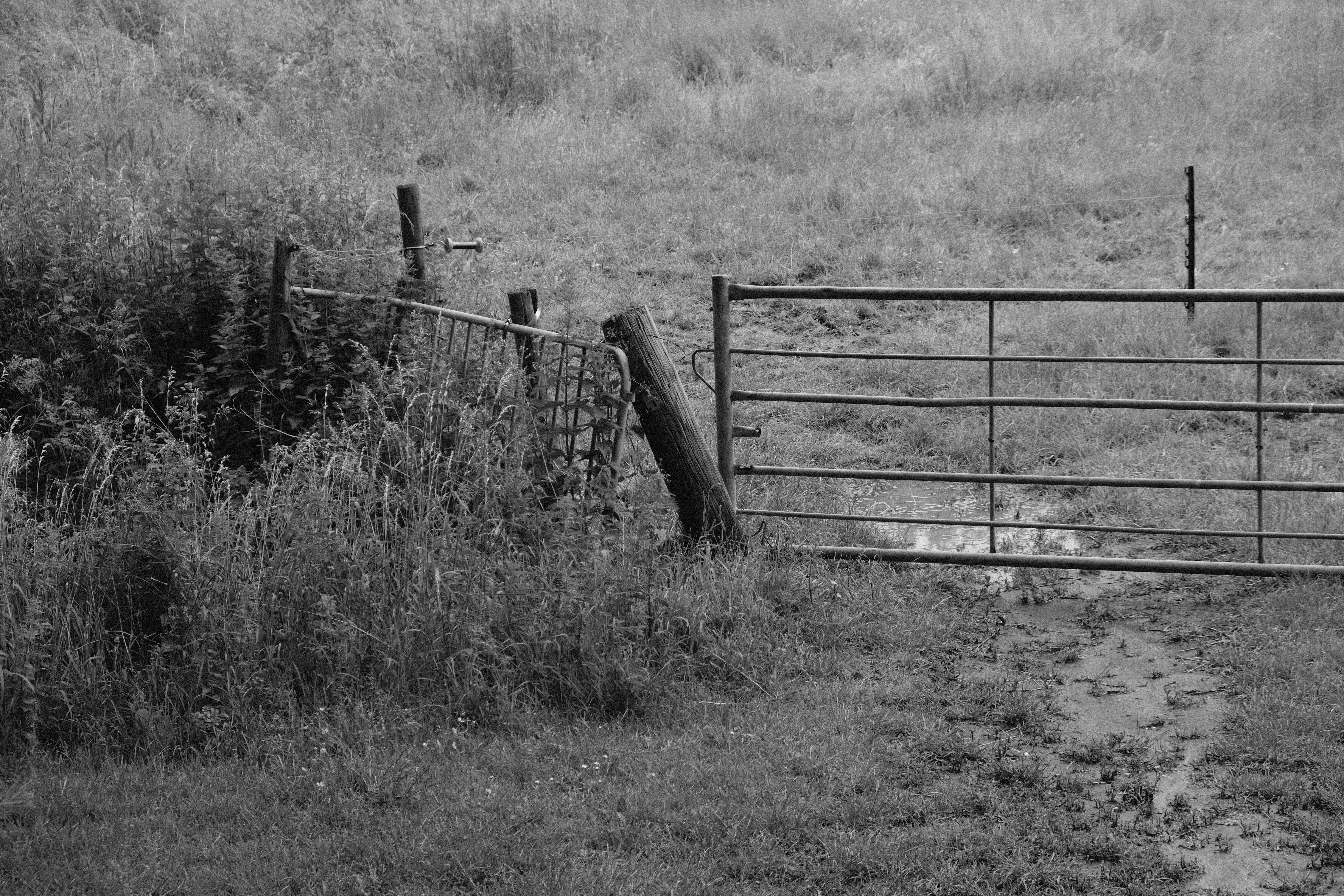 Photo by kyantijhuis