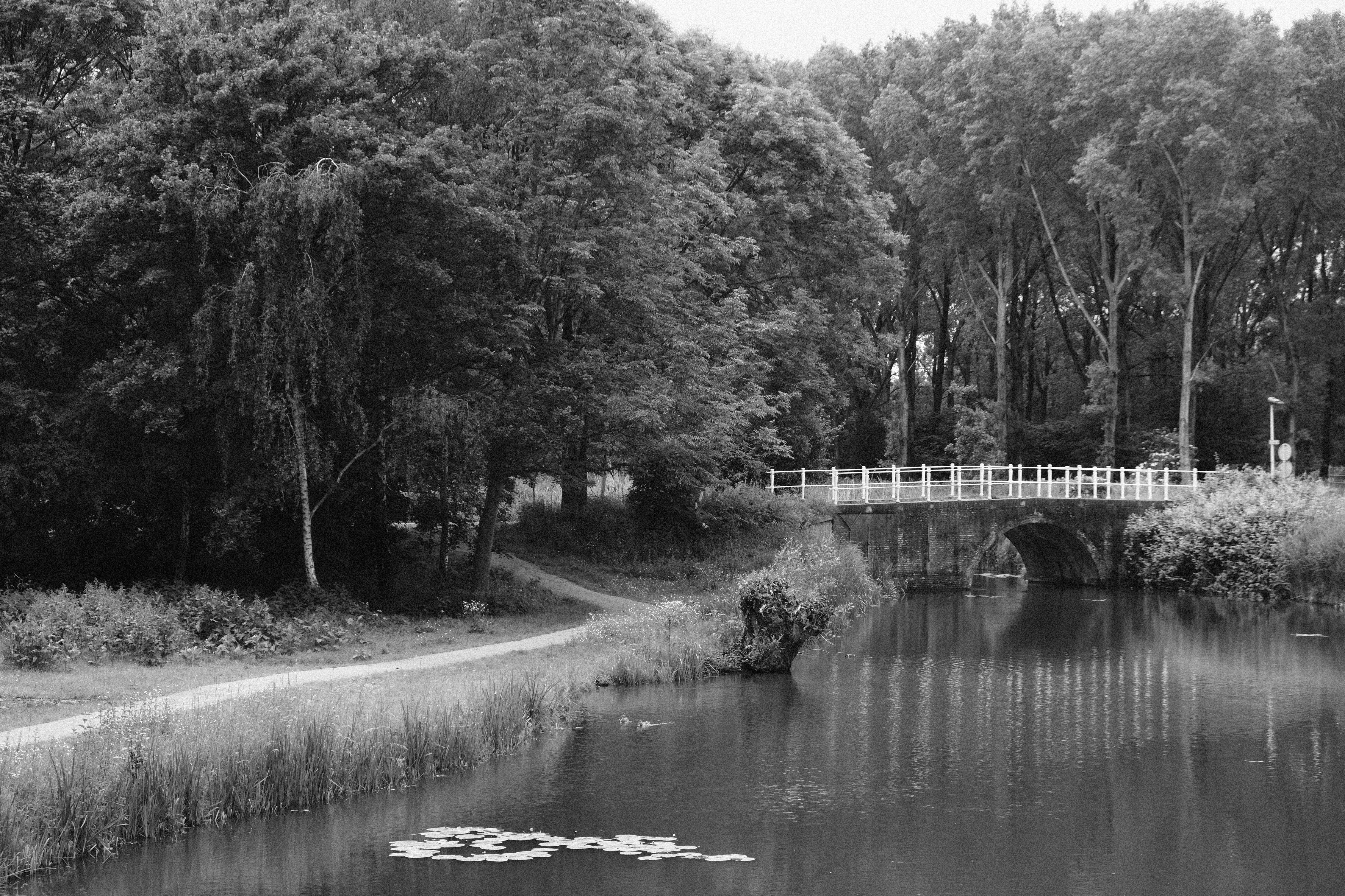 Photo by kyantijhuis