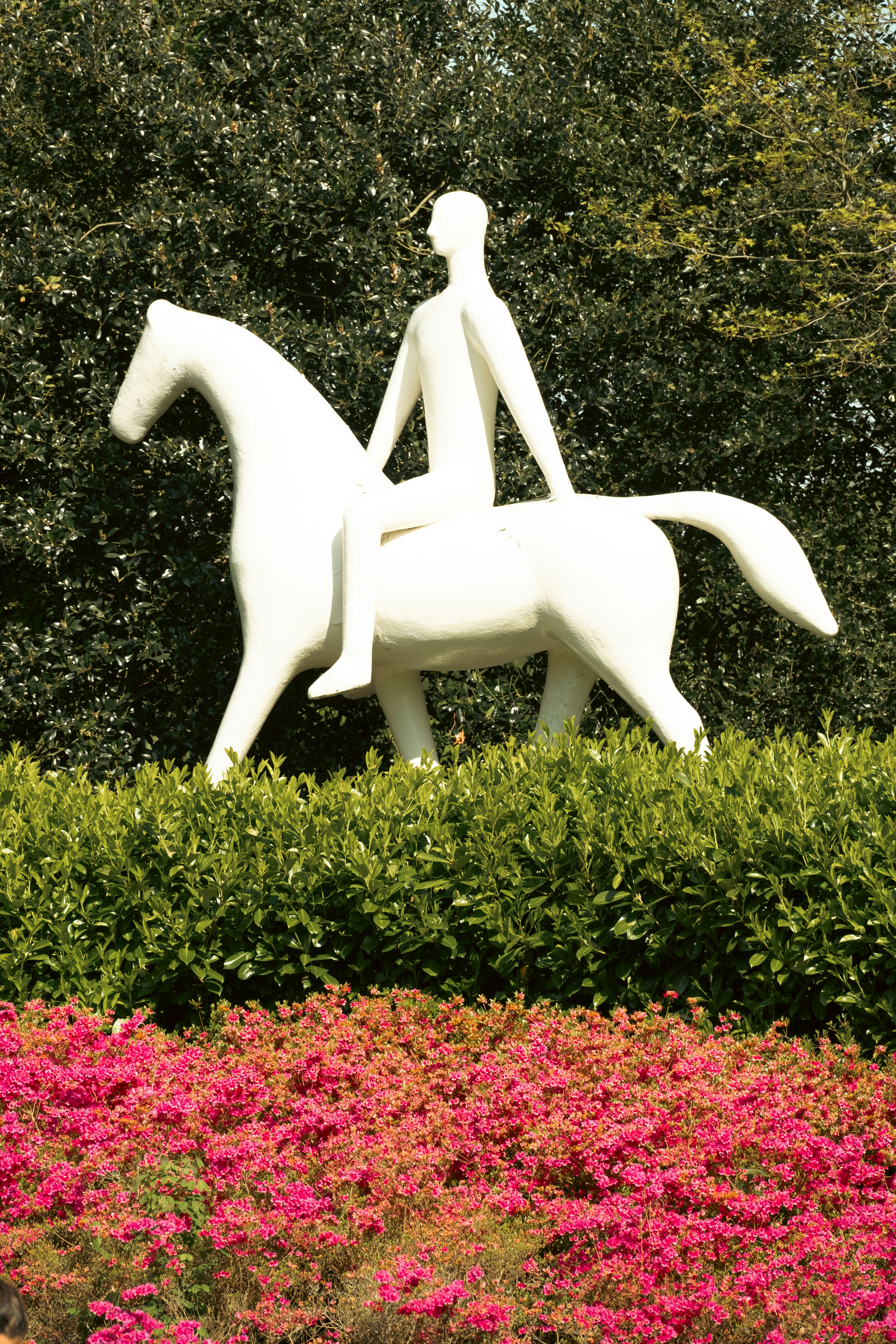 A statue of a man riding a white horse photo – Free Grass Image on Unsplash