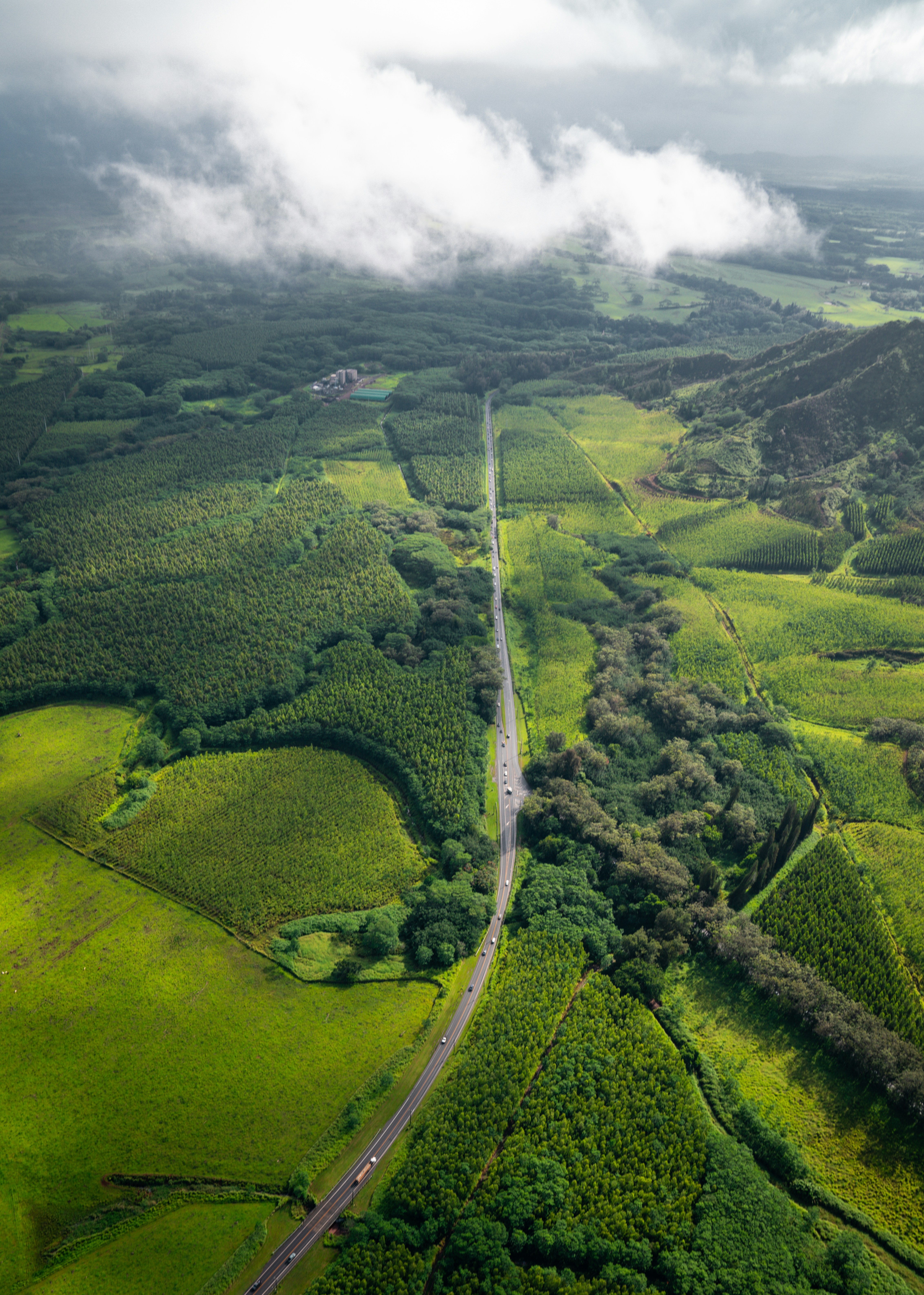 an aerial view of a road surrounded by green fields