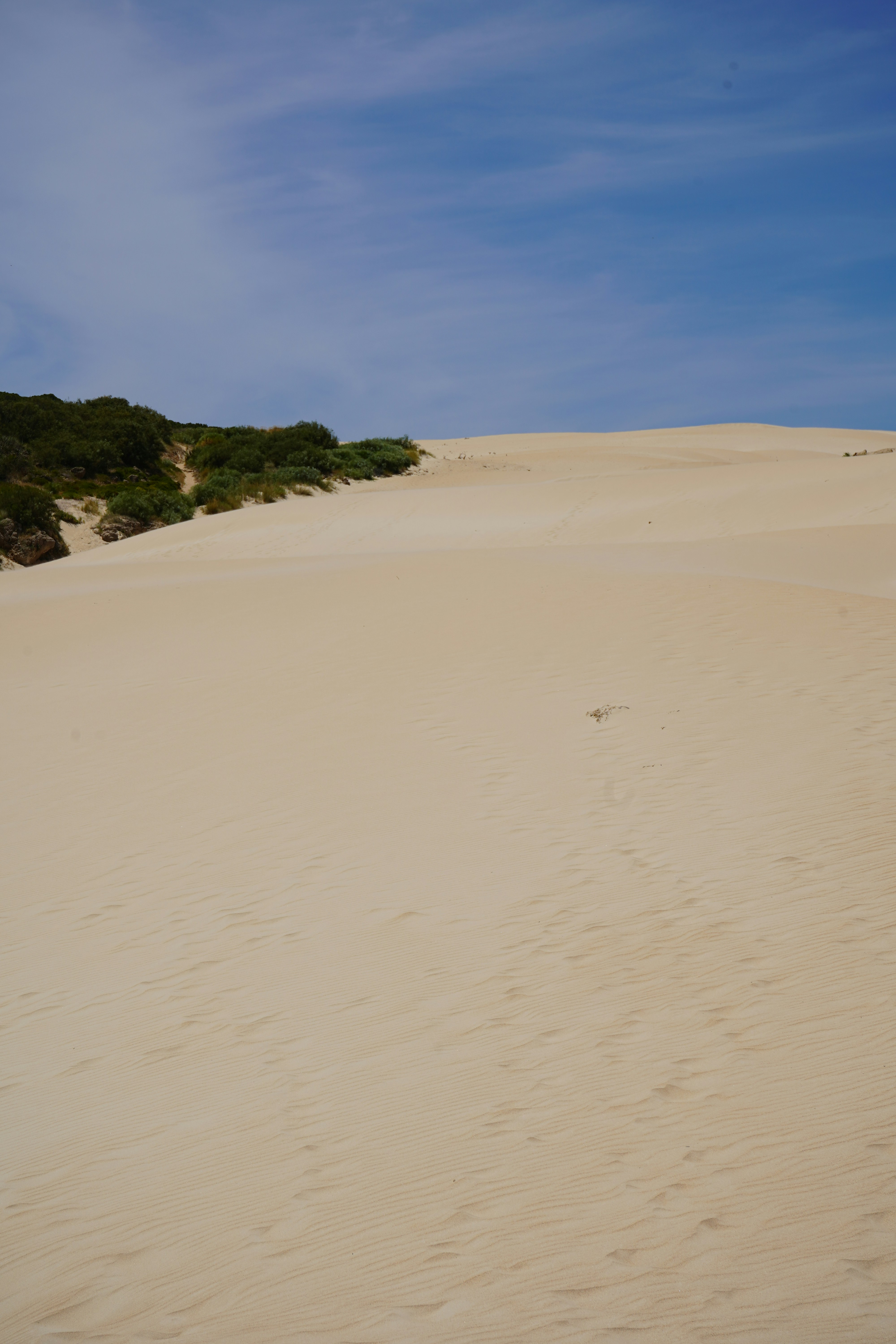 uma pessoa caminhando por um grande campo de areia