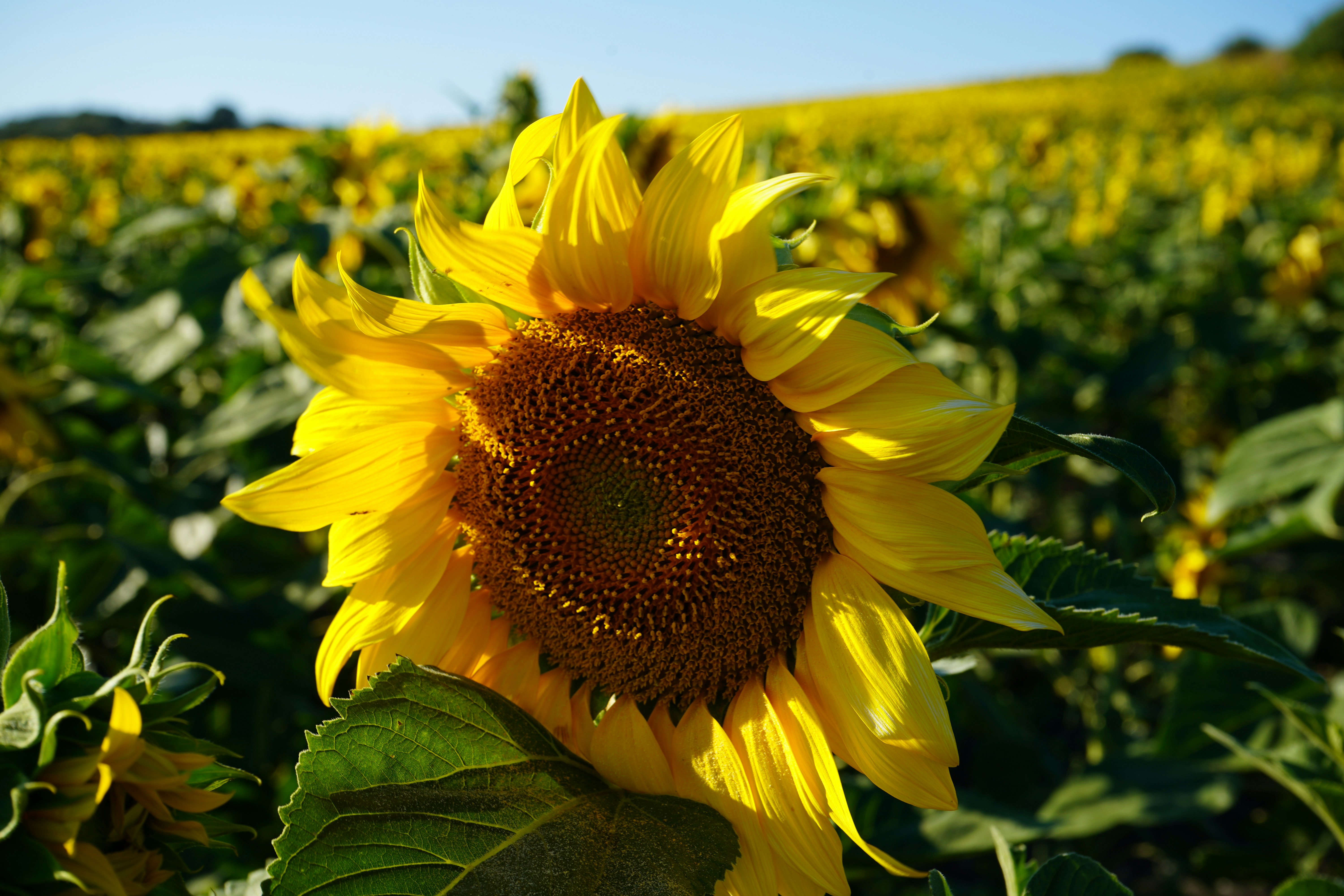 Photo by jorgefdezsalas