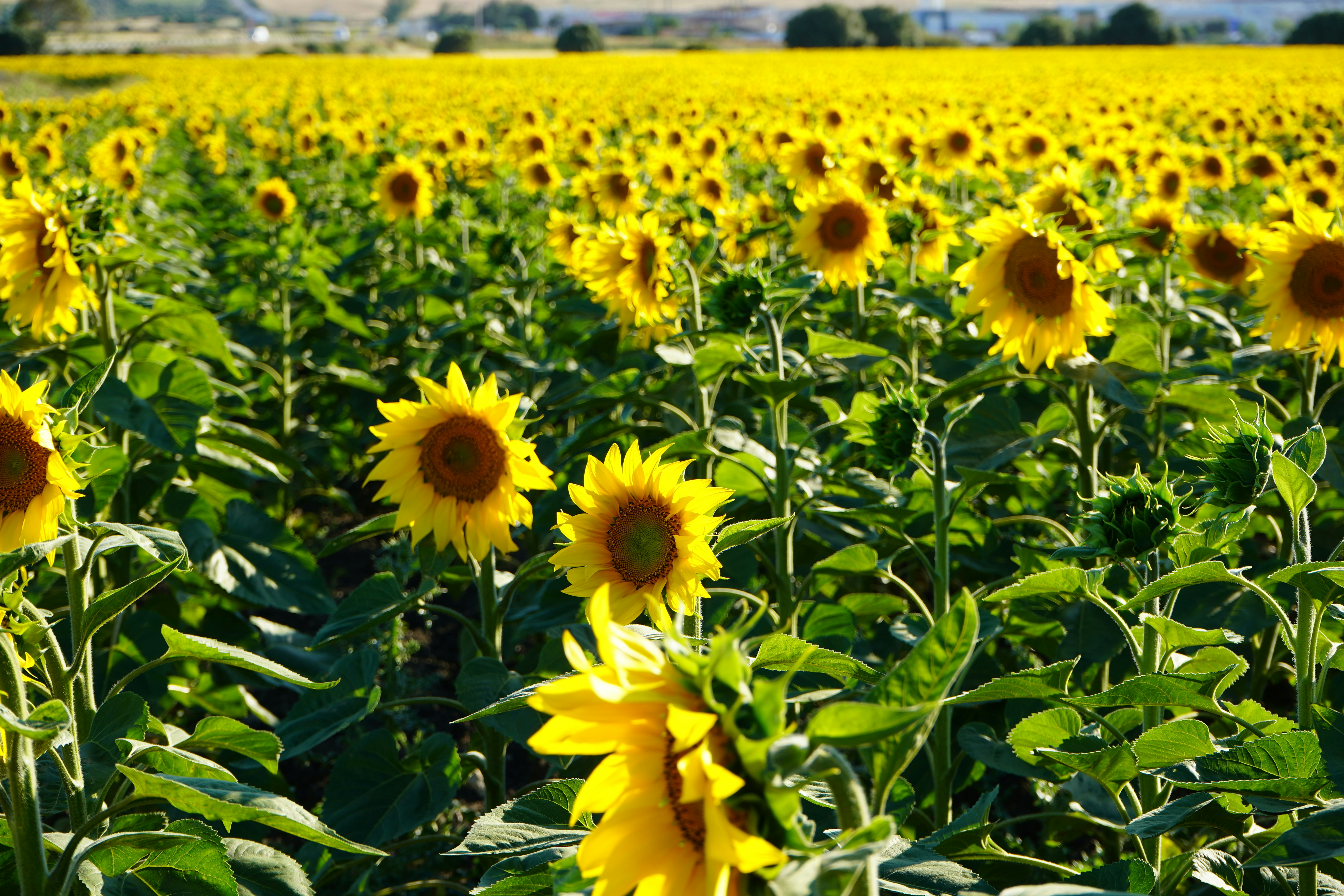 Photo by jorgefdezsalas