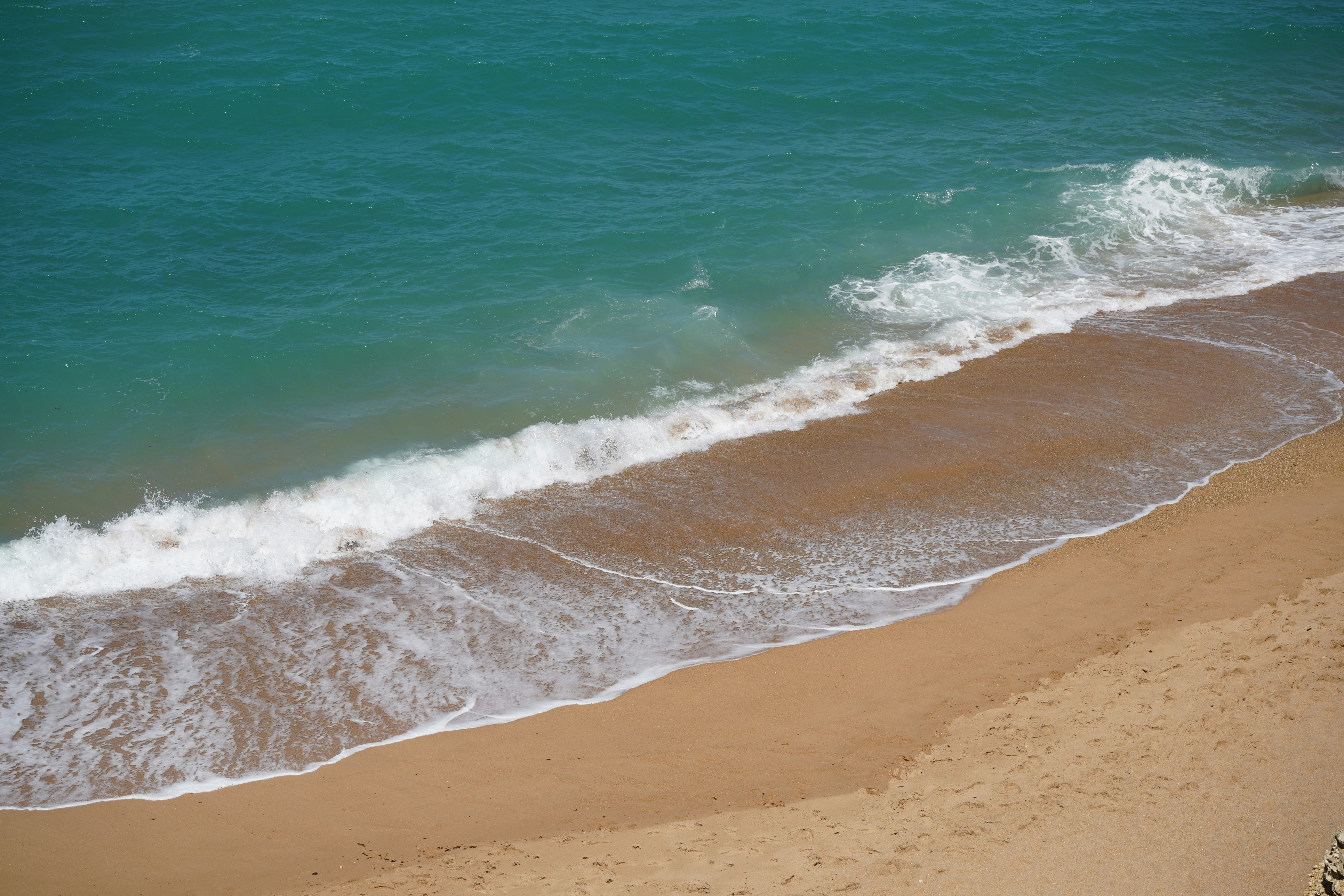 uma praia de areia com uma onda entrando na costa