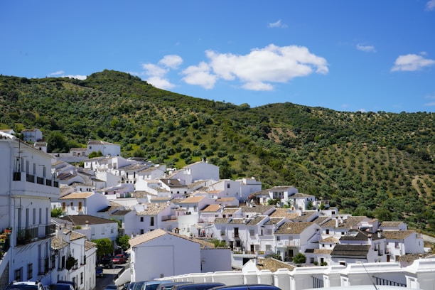 a view of a town with a mountain in the background