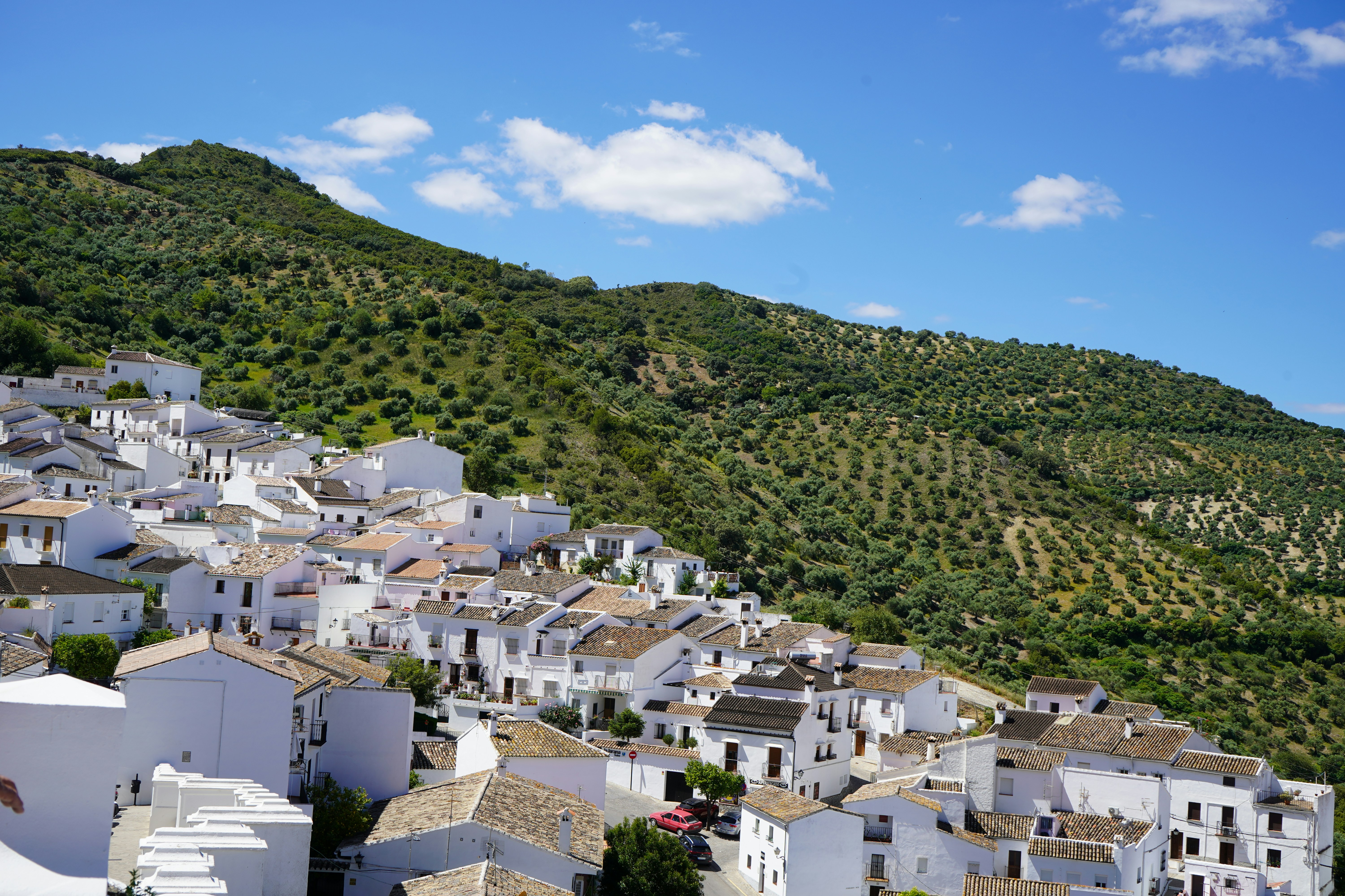 a view of a village with a mountain in the background