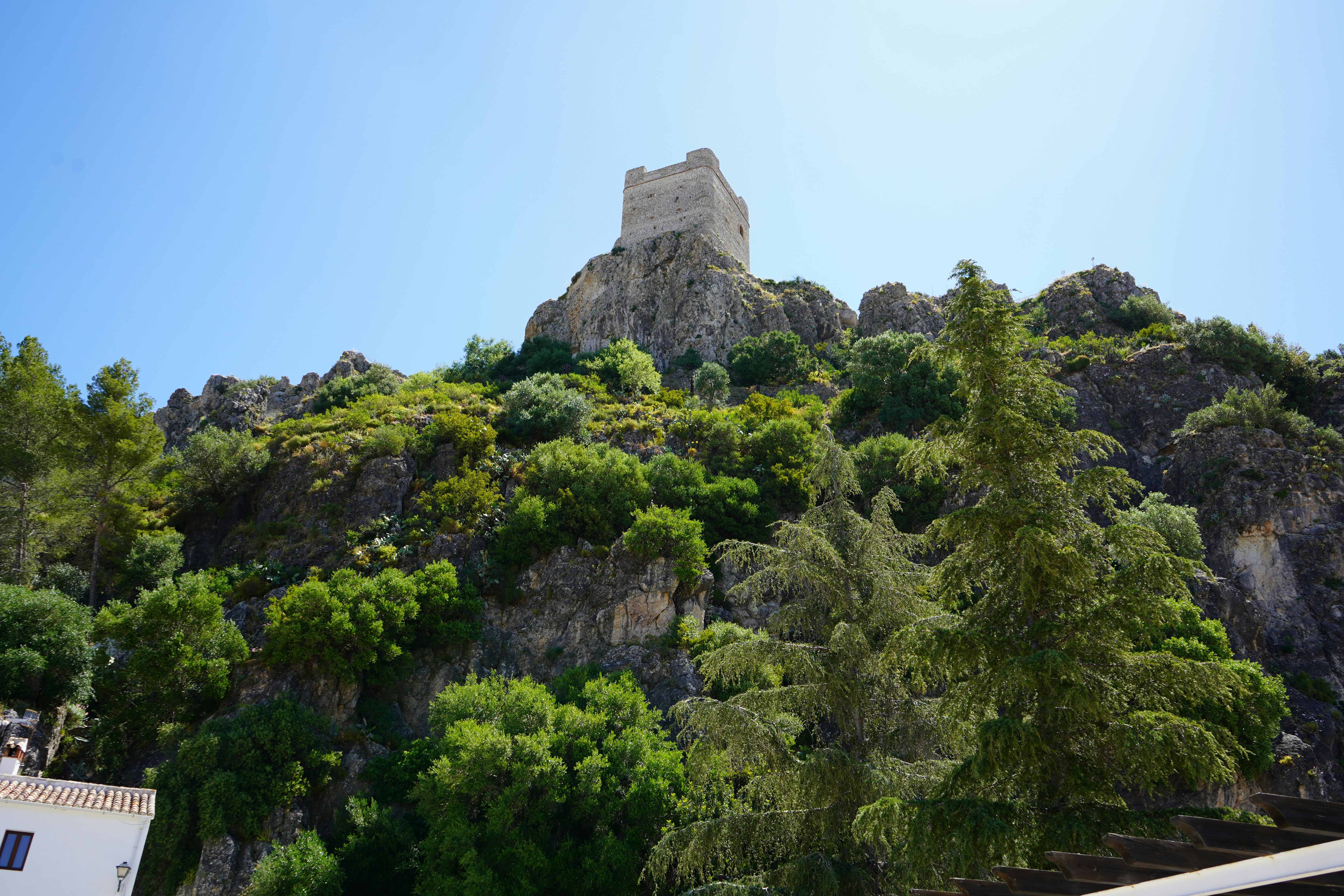 a castle on top of a mountain surrounded by trees, 