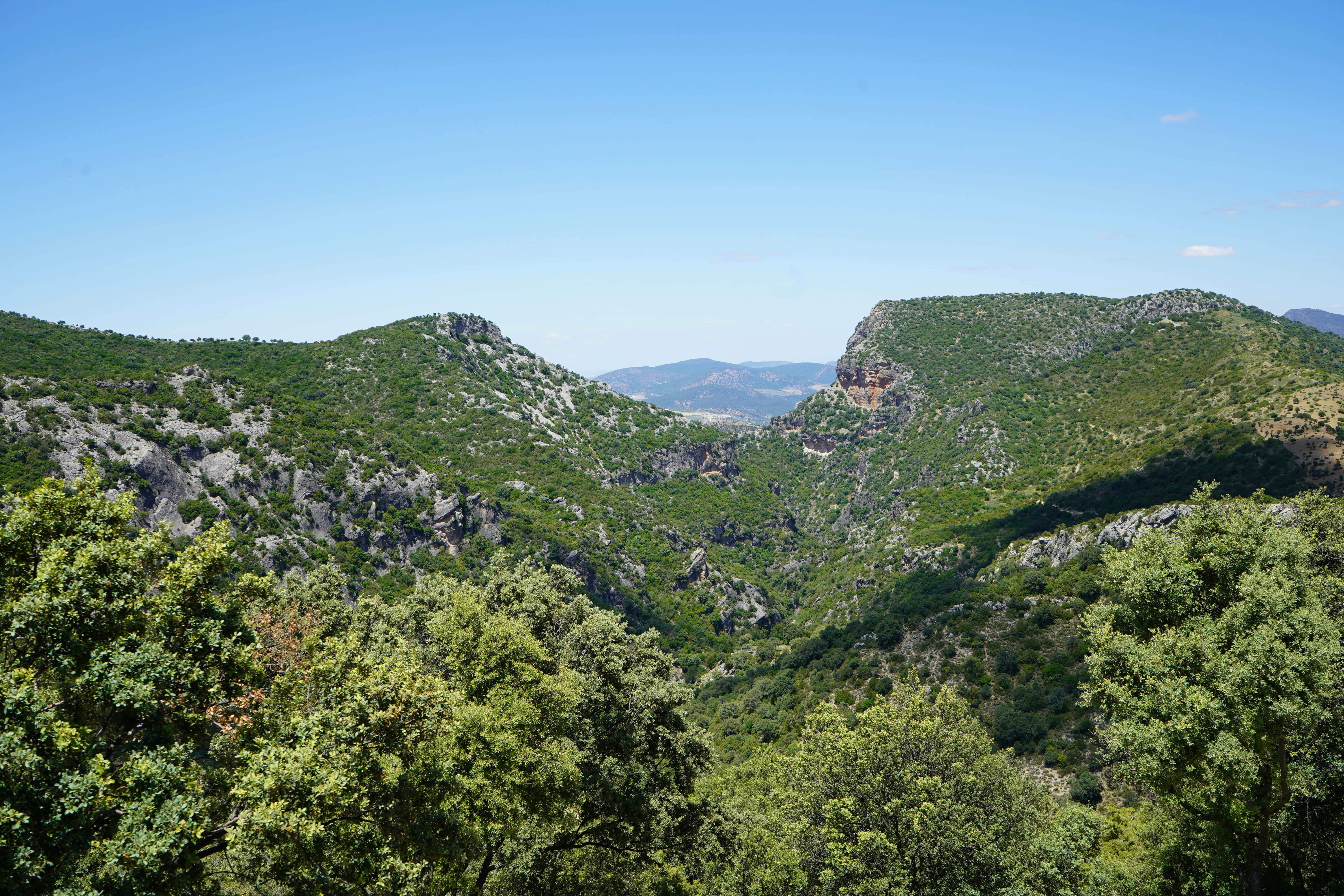 Photo by jorgefdezsalas