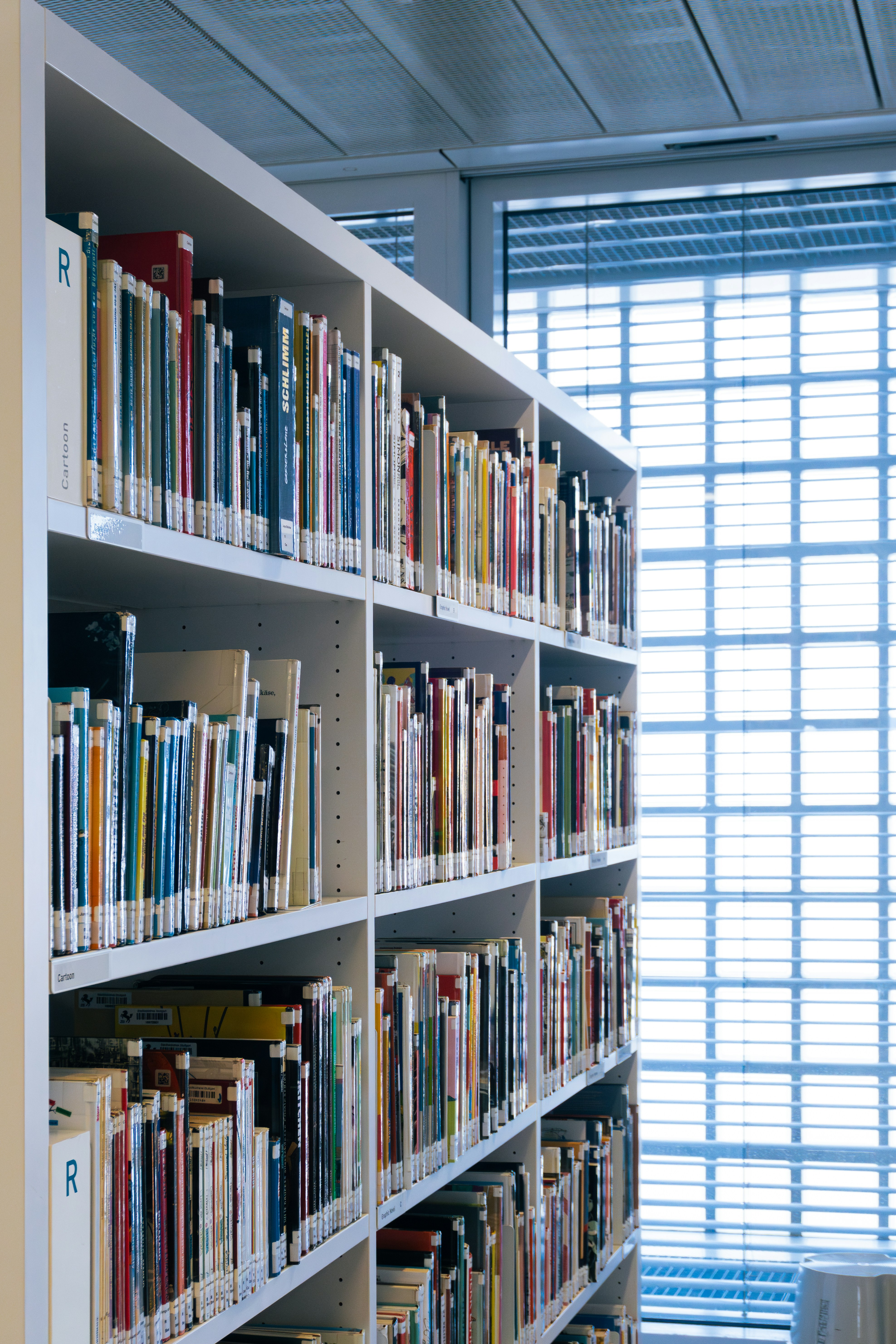 Photo by bhaviknasit