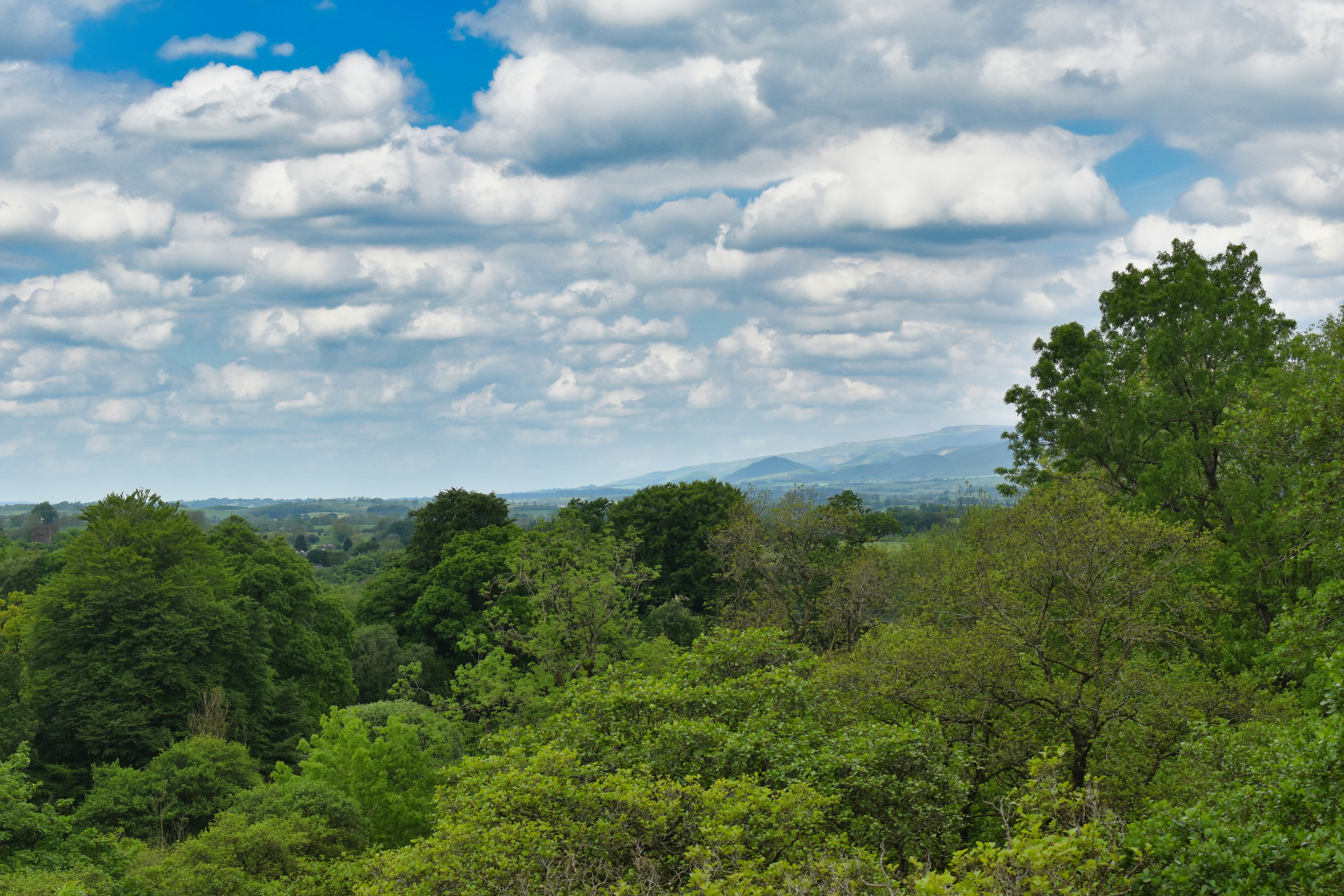 Photo by andrew_hall