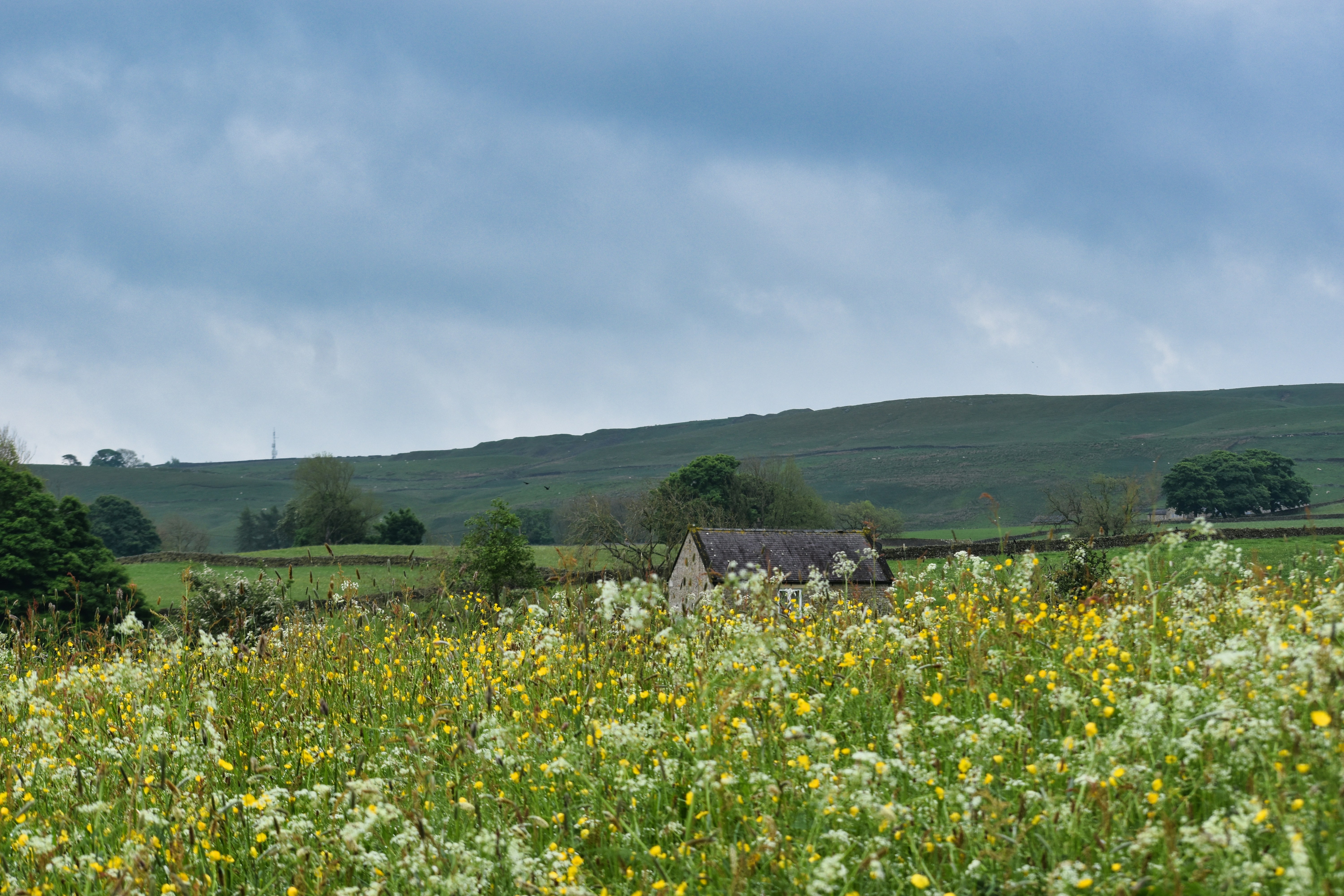 Photo by andrew_hall