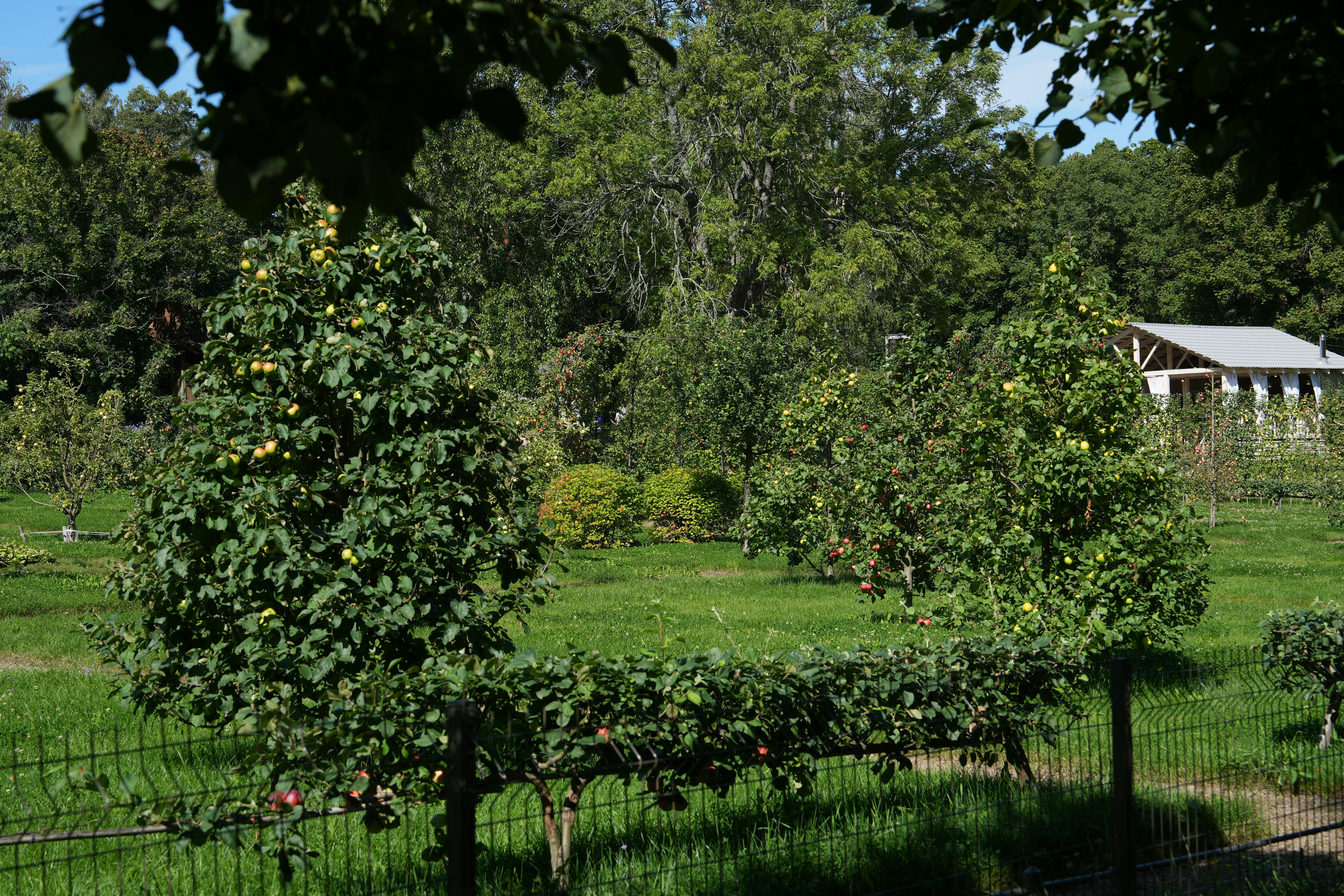 Photo by vadim_shevyrin