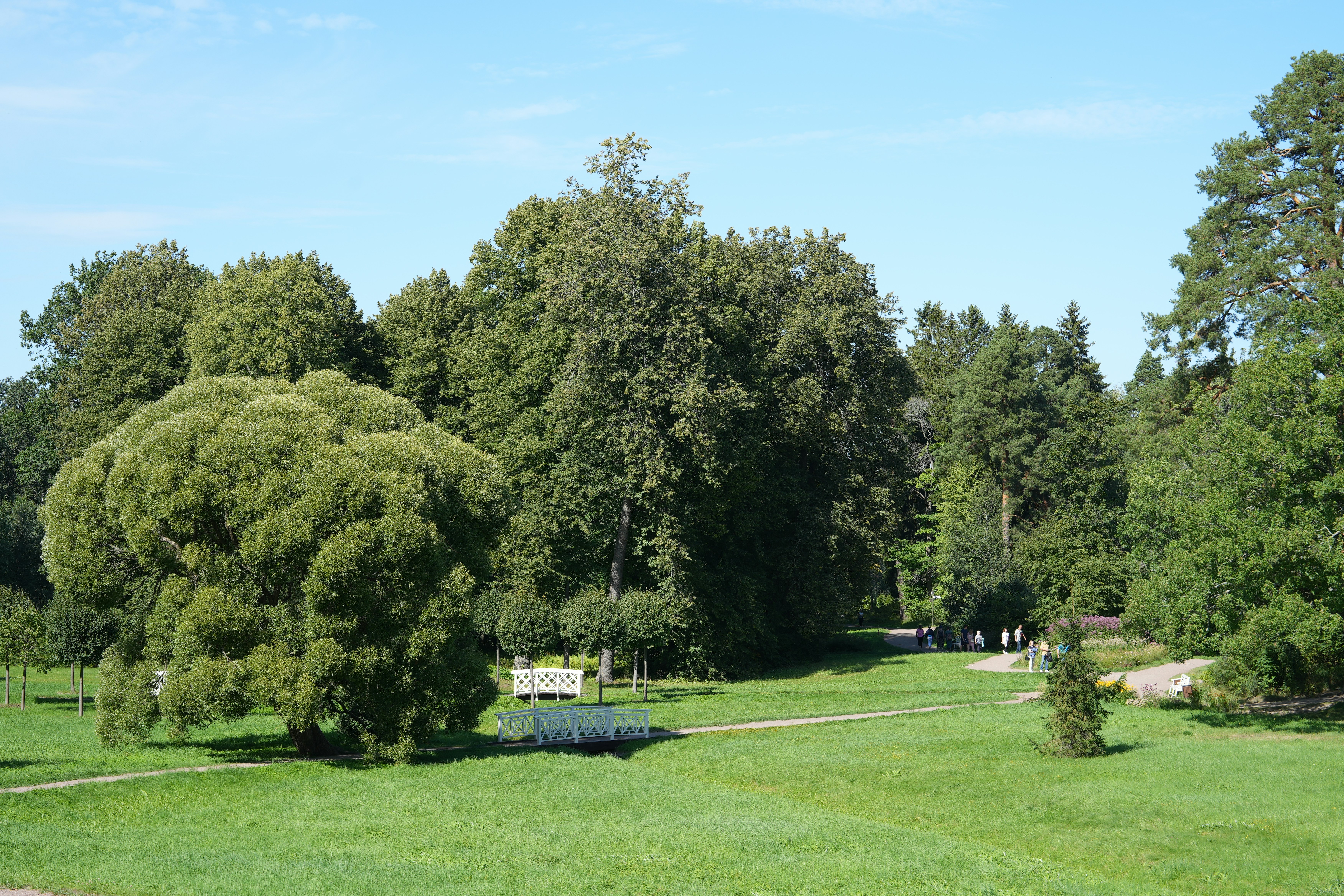 green park landscape, wallpaper, Volunteer for Park Maintenance: Best Ways to Help 3