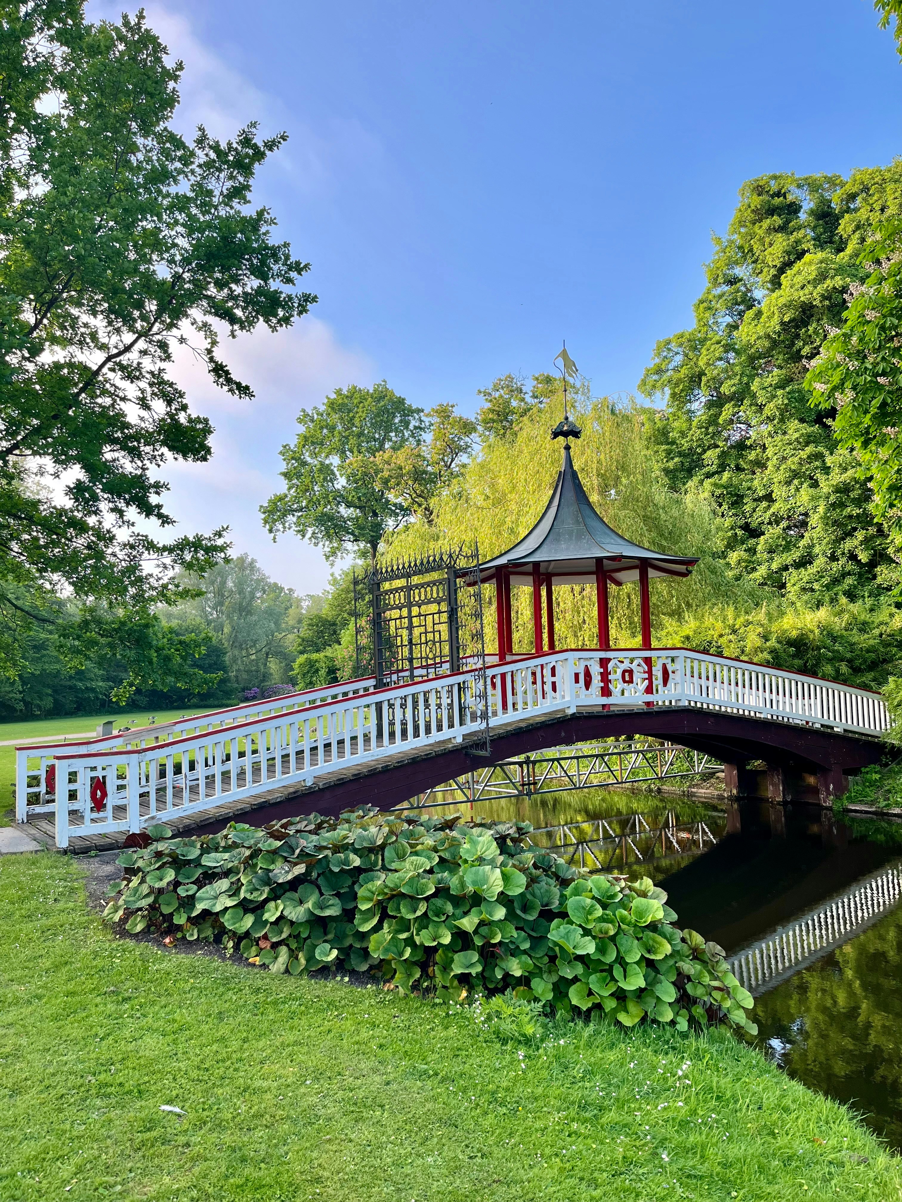 a white bridge over a small pond in a park