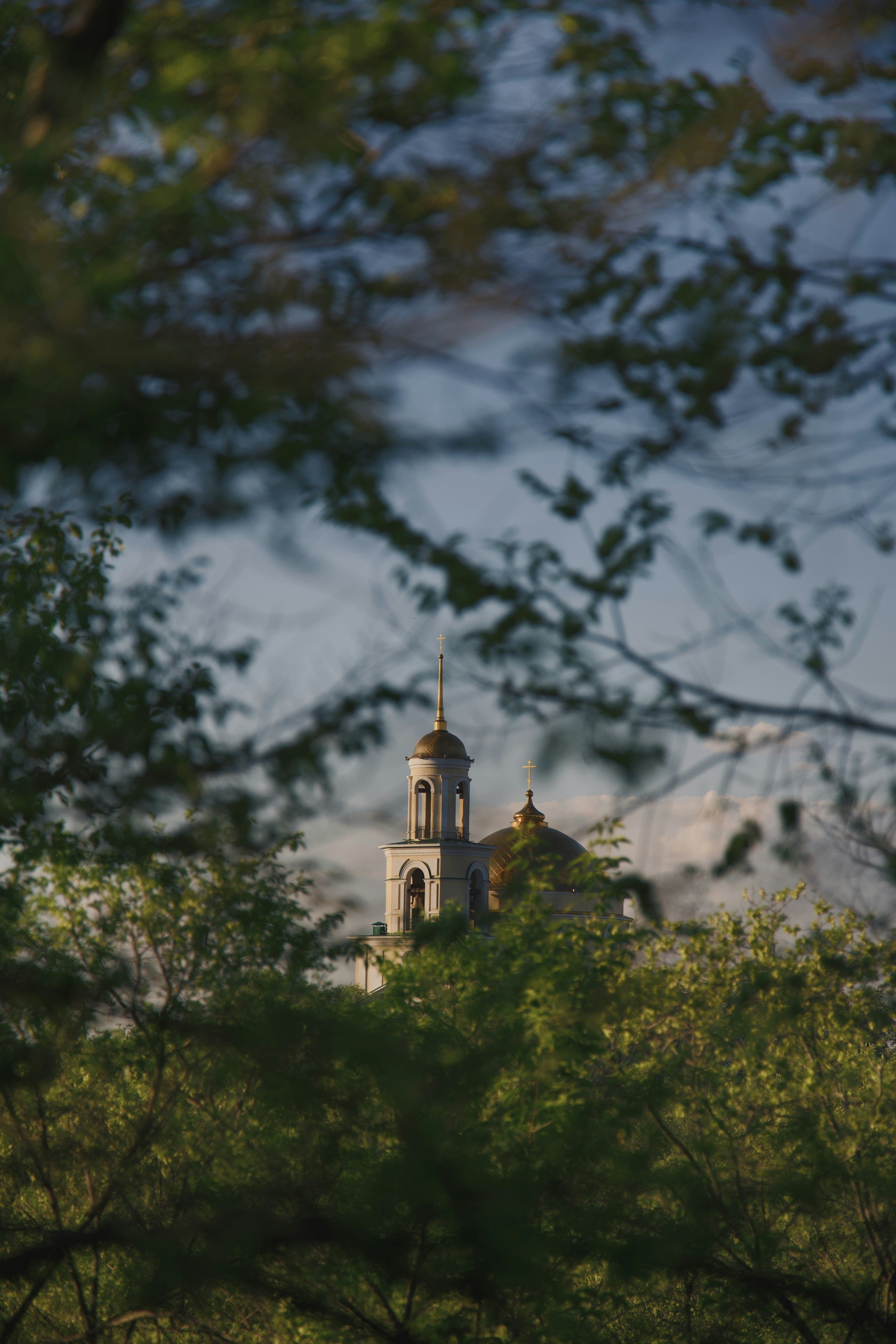 Photo by larisarunova