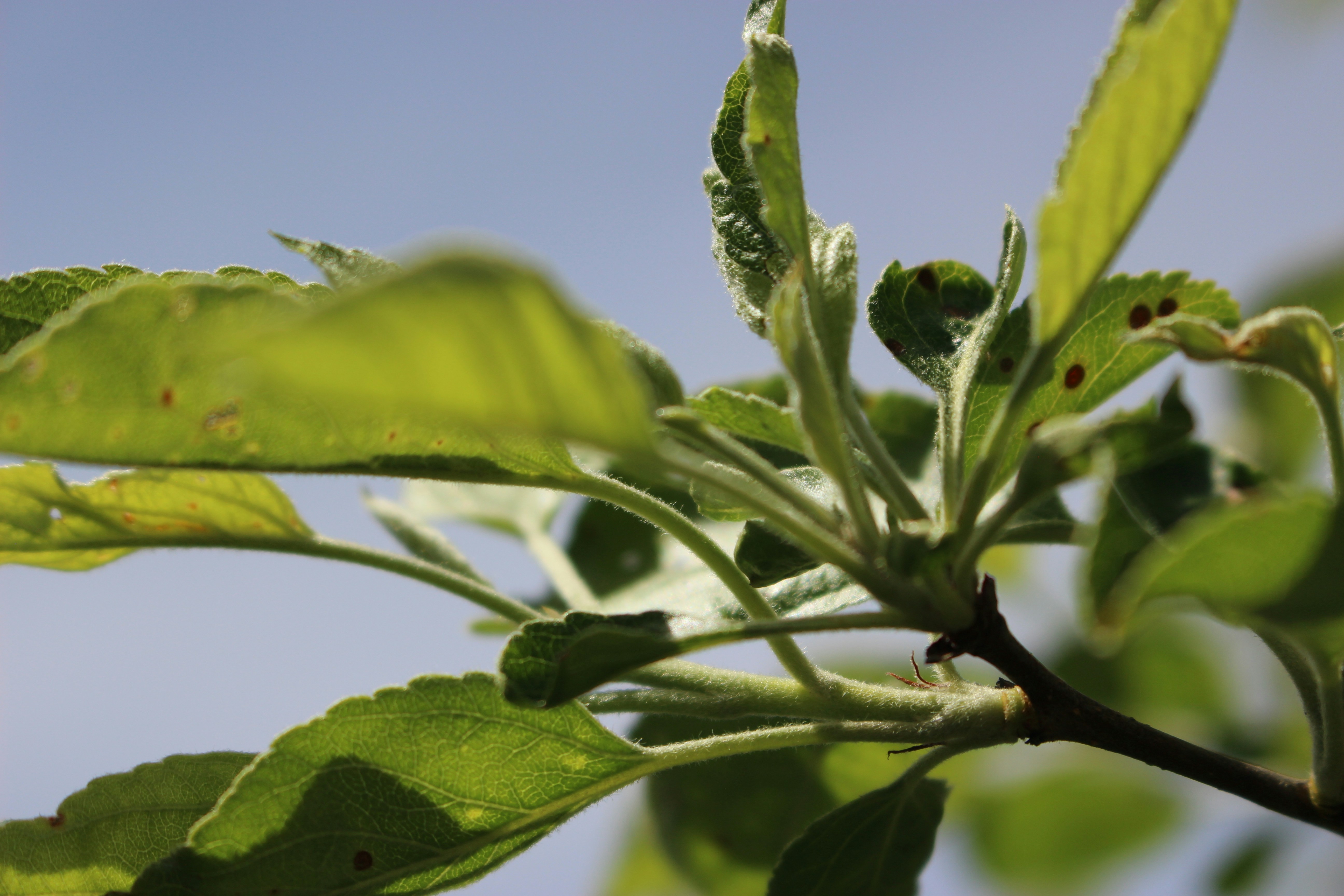 Photo by teagancross